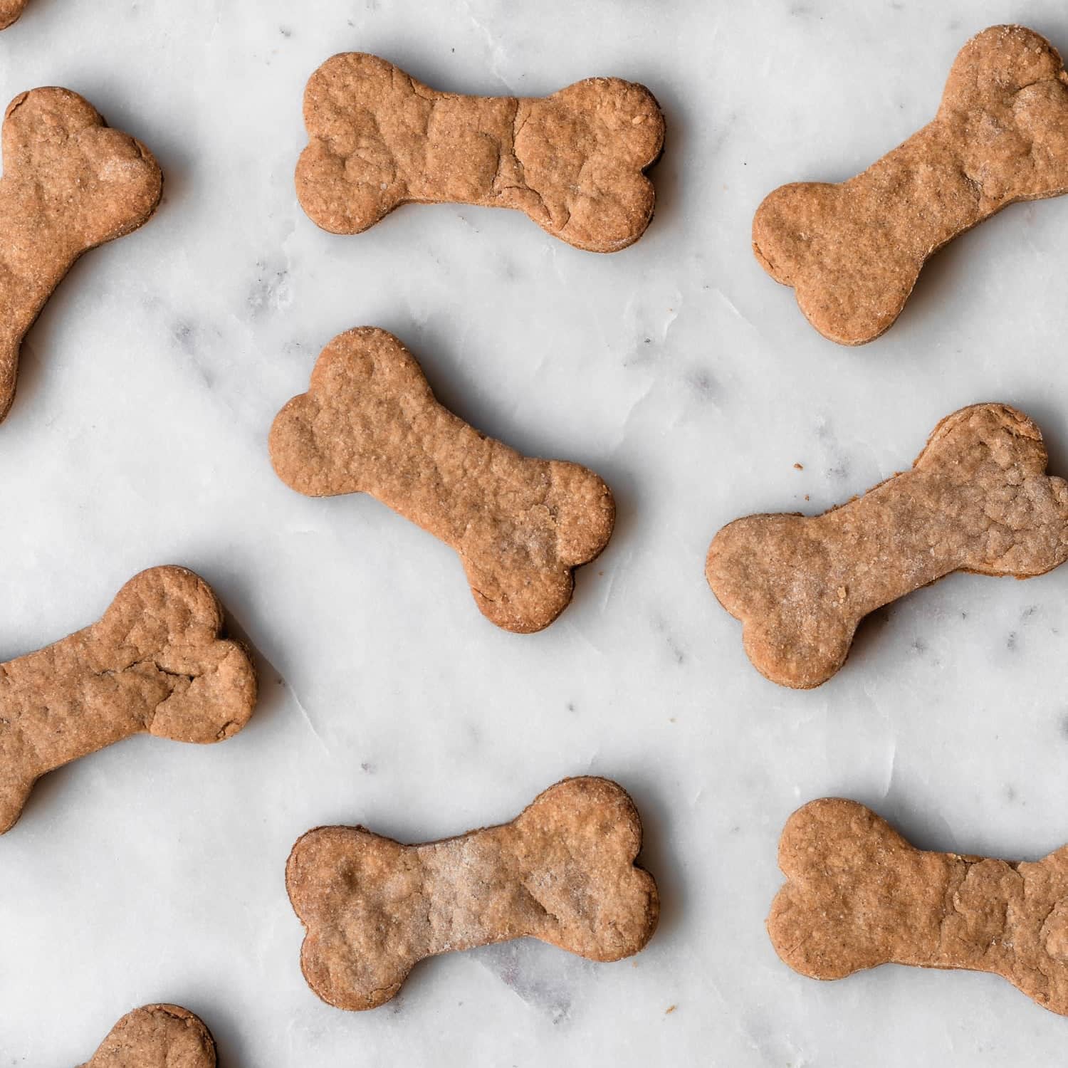 Homemade Peanut Butter Dog Cookies