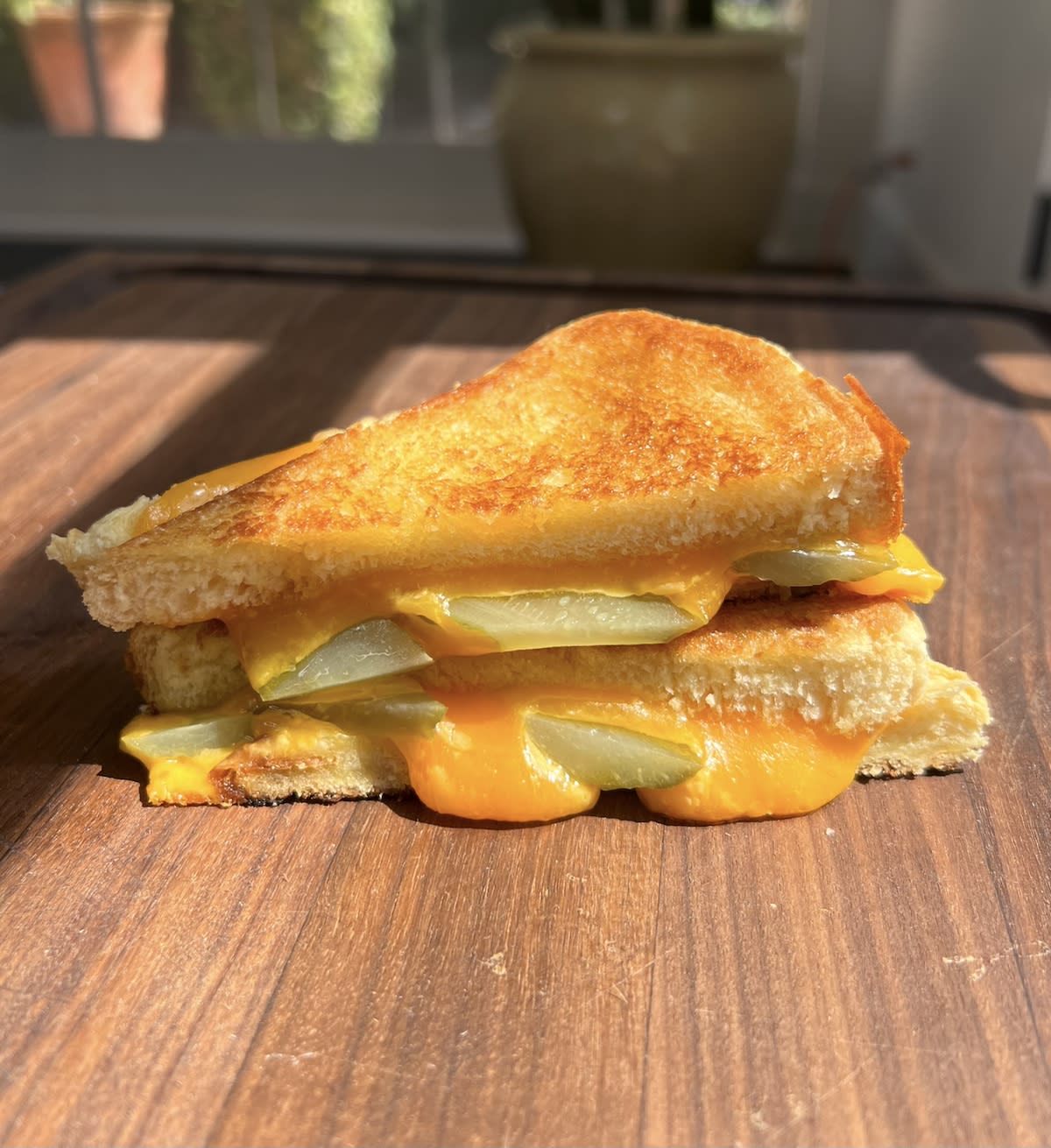 Pickle Grilled Cheese