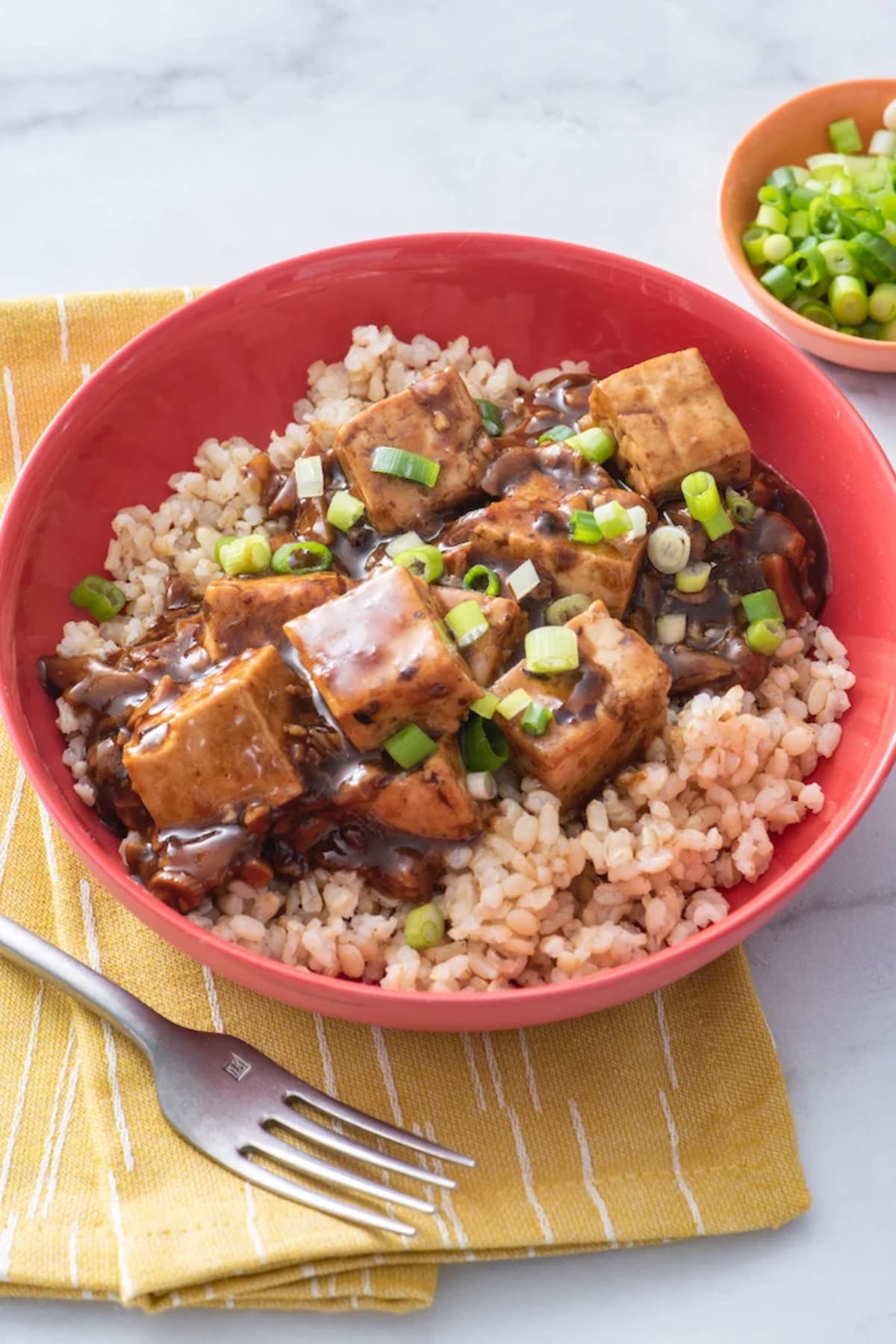 Mapo Tofu