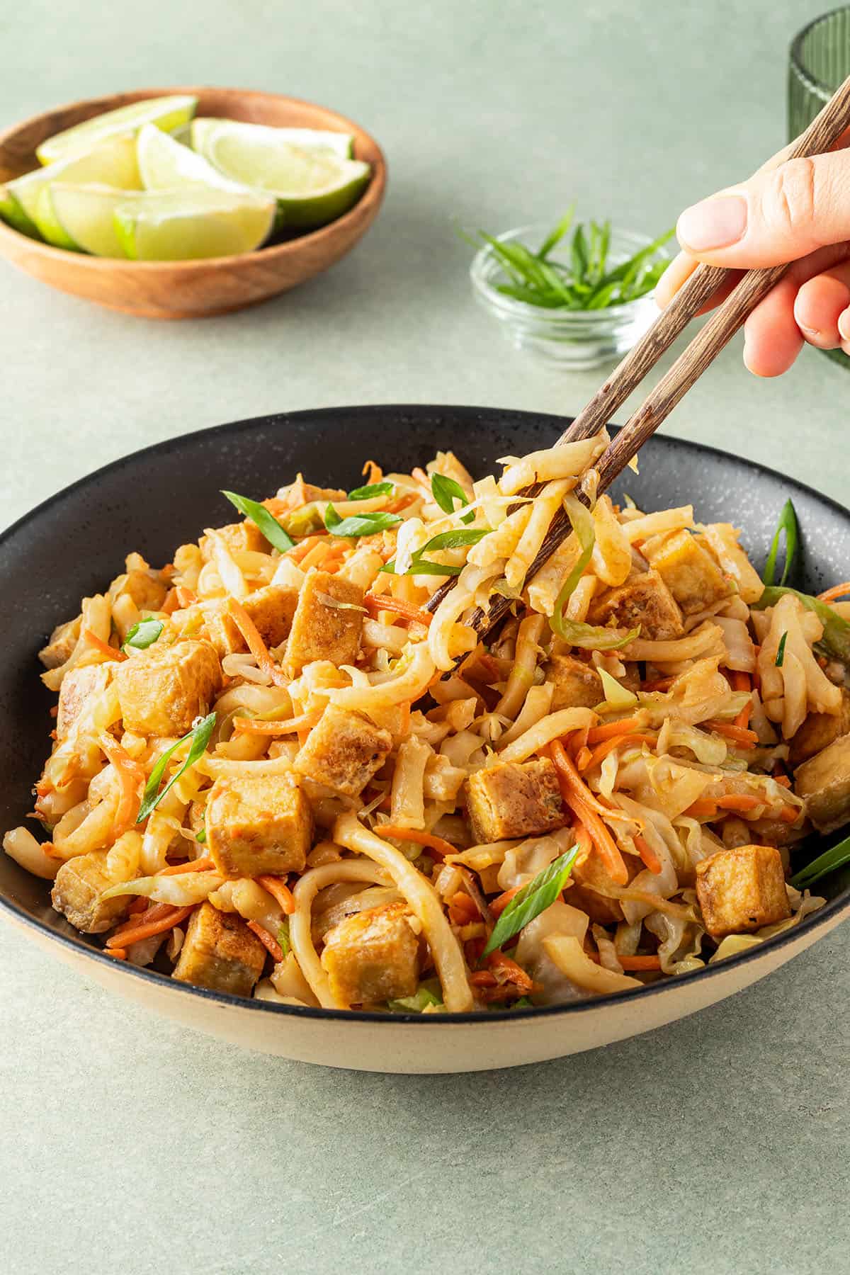 Fried Udon Noodles with Tofu