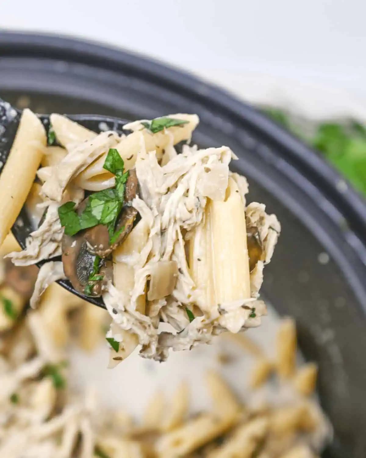Creamy Slow Cooker Chicken Pasta