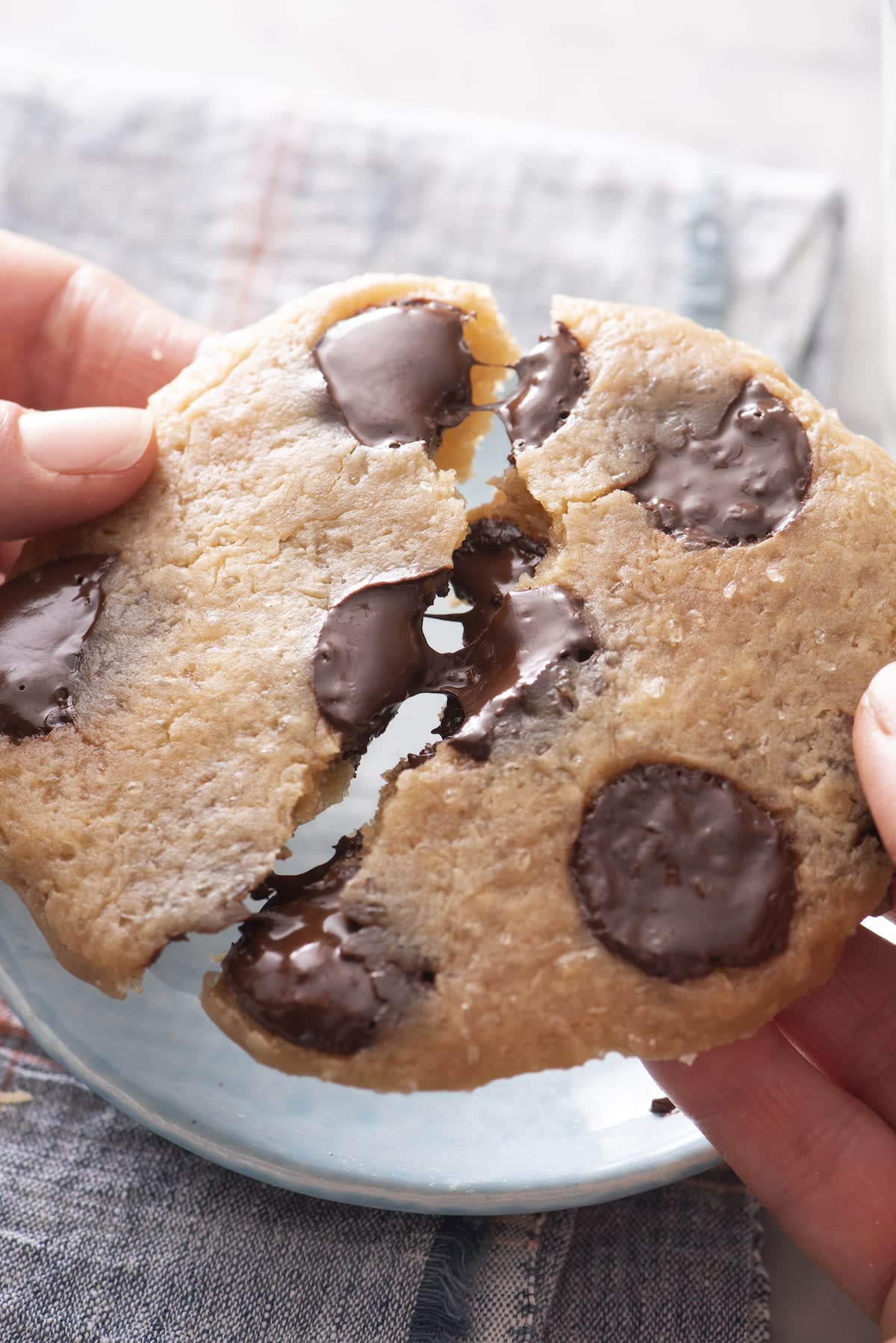 Microwave Chocolate Chip Sea Salt Cookie for ONE
