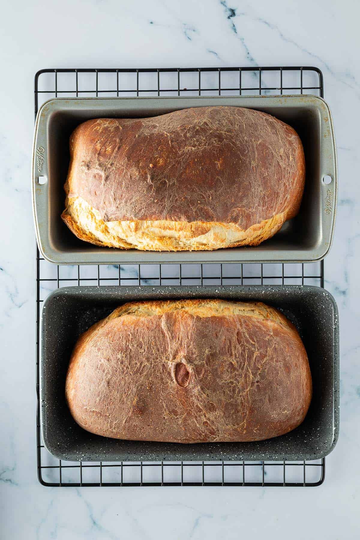 Homemade High-Protein Toast Bread