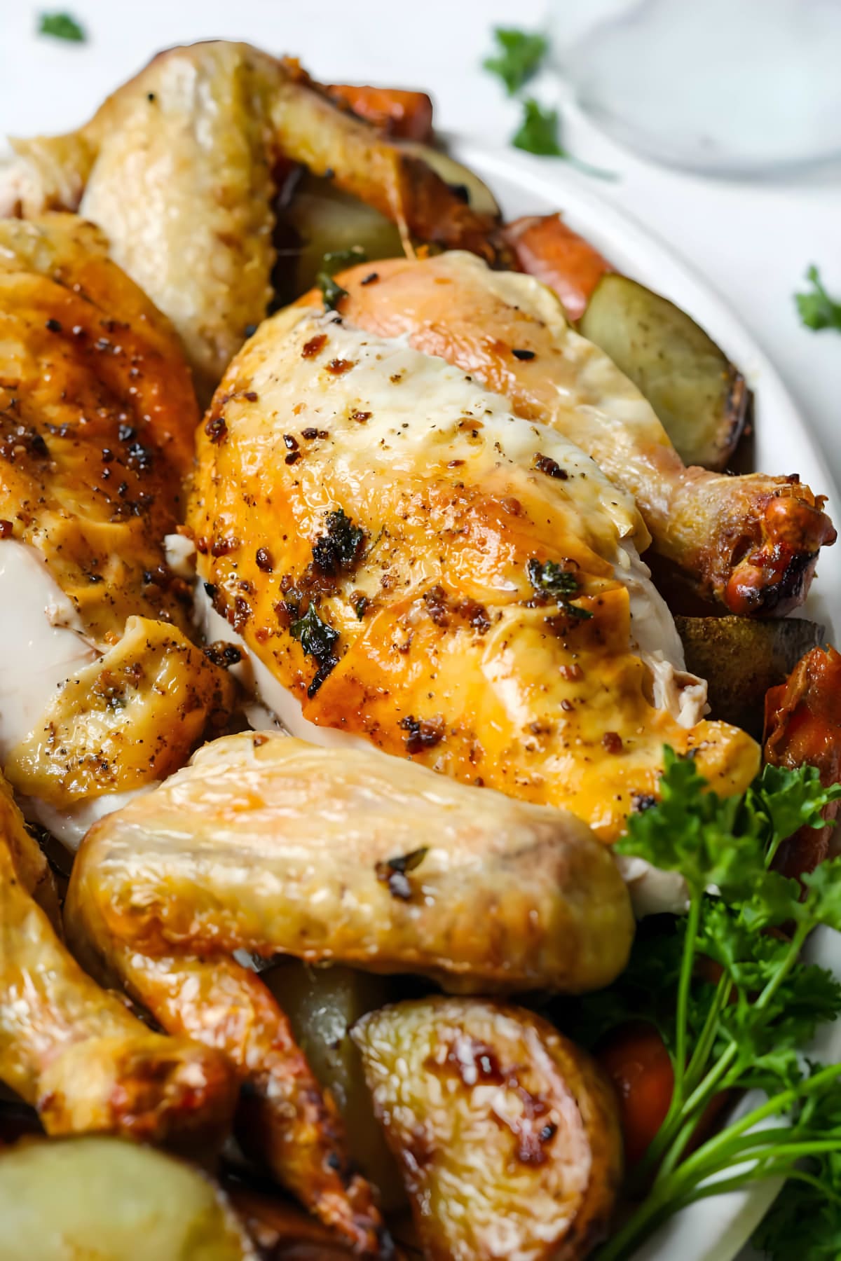Dutch Oven Roasted Chicken