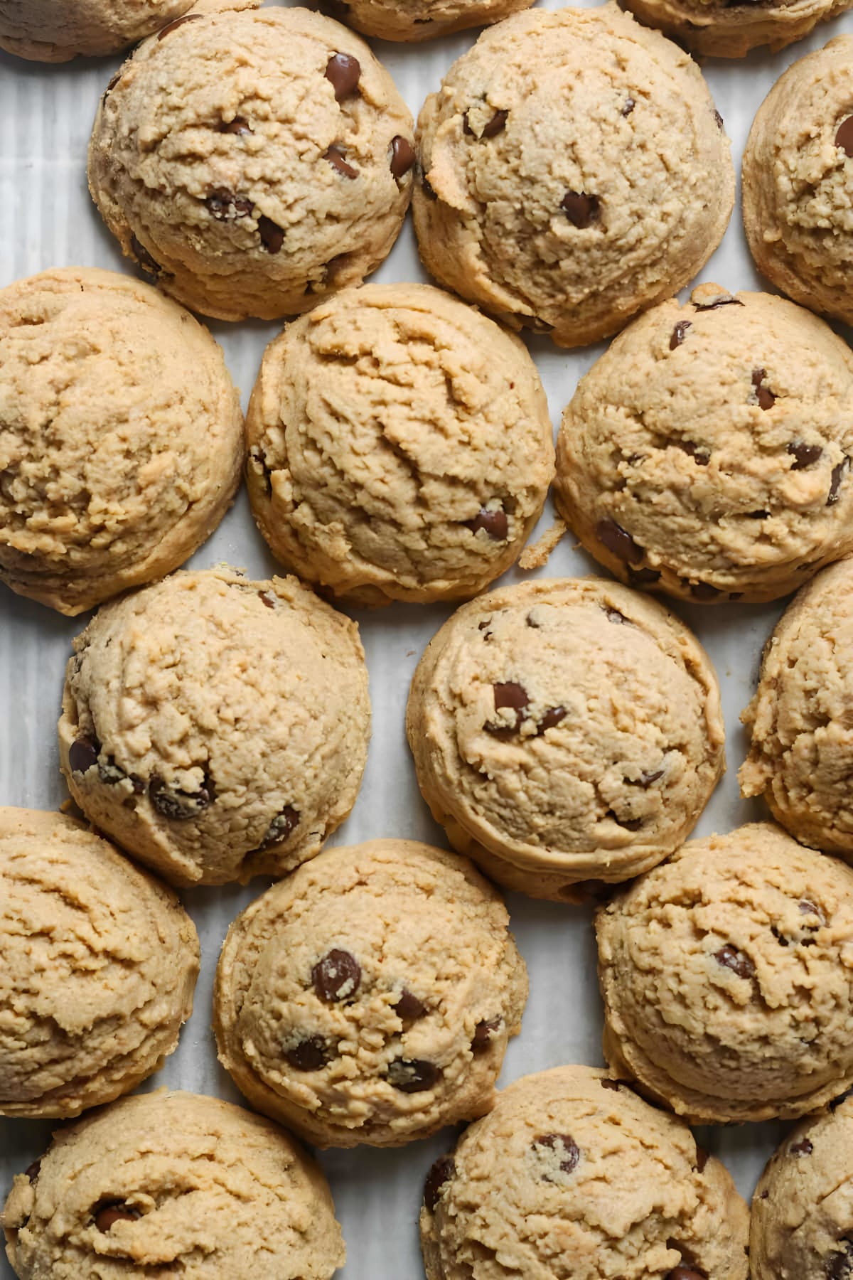 Peanut Butter Chocolate Chip Cookies