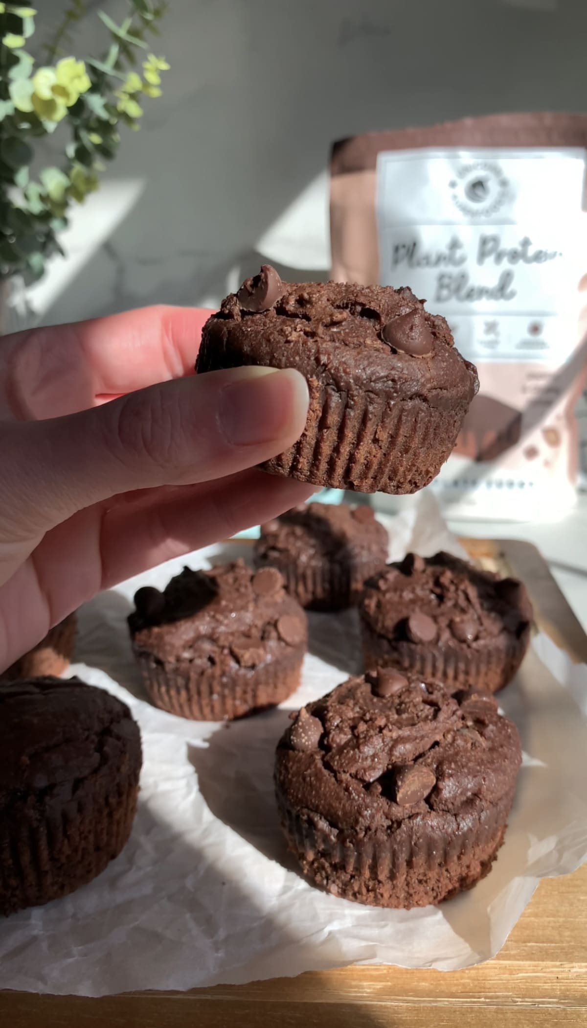 Chocolate Protein Muffins (Vegan, Gluten Free)