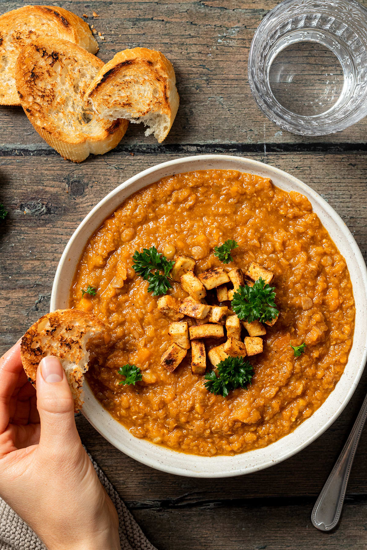 Vegetarian Lentil Stew