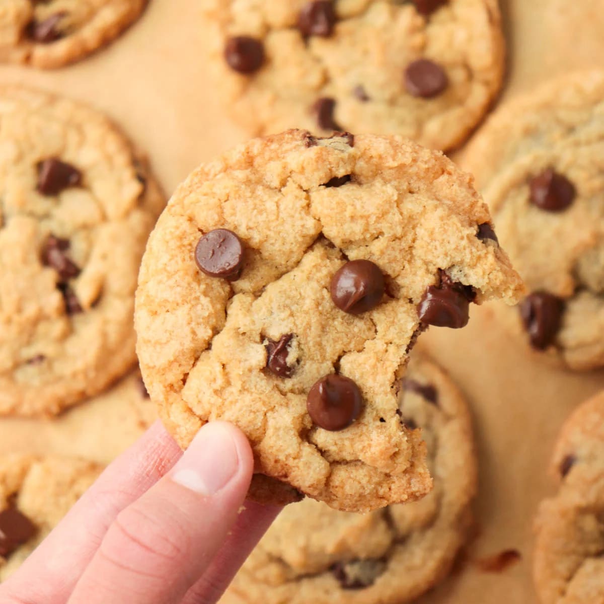 Classic Chocolate Chip Cookies