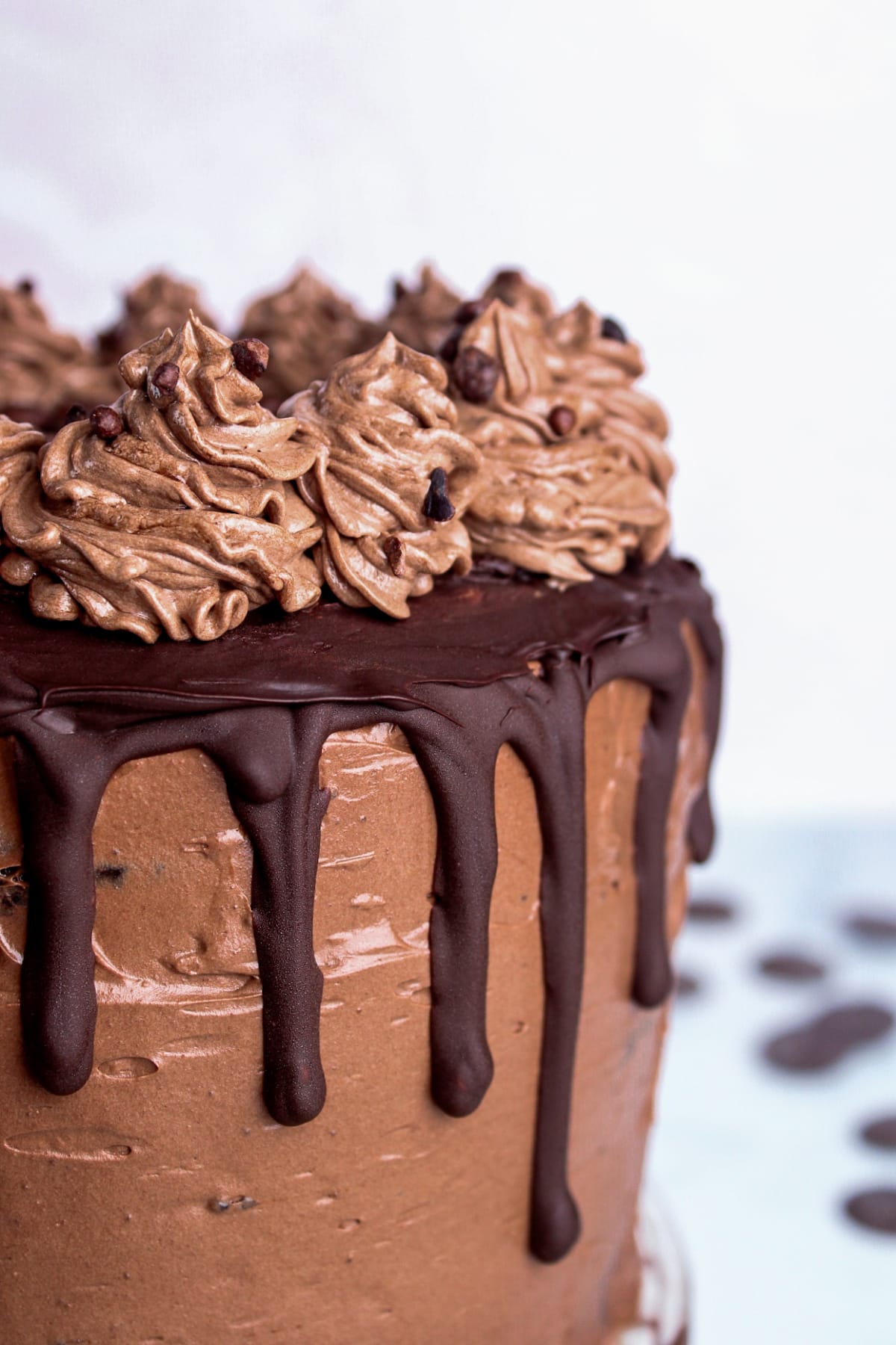 Vegan Triple Chocolate Cake