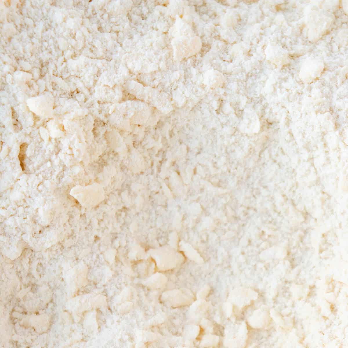 Mini Chocolate Chip Scones