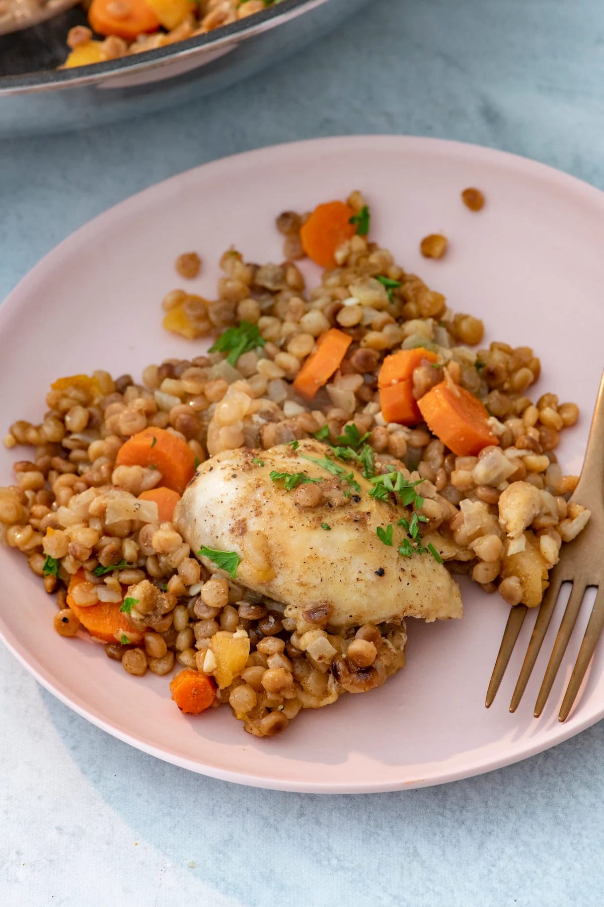 One Pot Spiced Chicken with Toasted Couscous