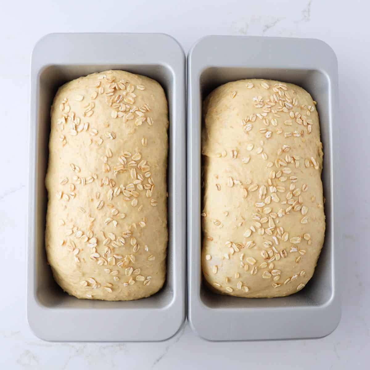 Oatmeal Bread