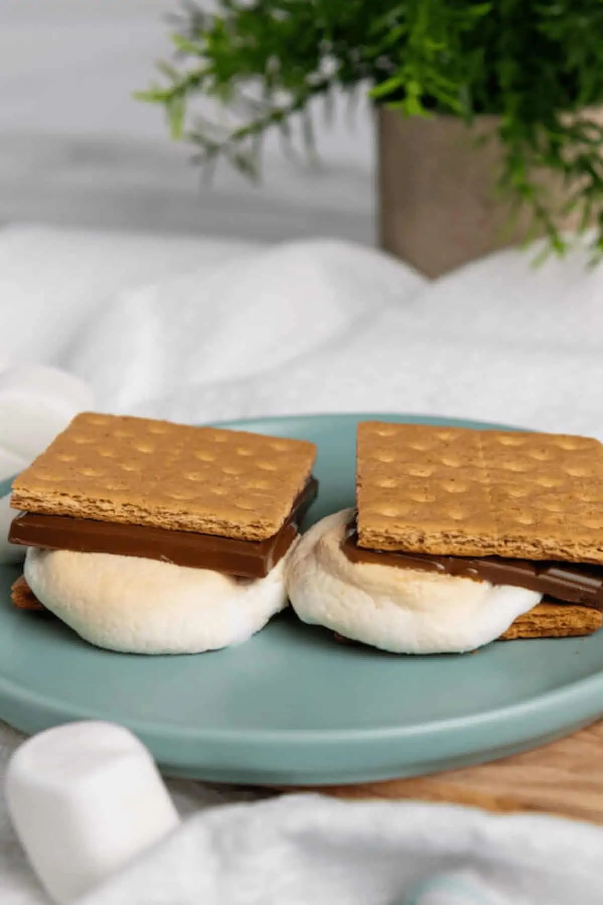 Air Fryer Smores