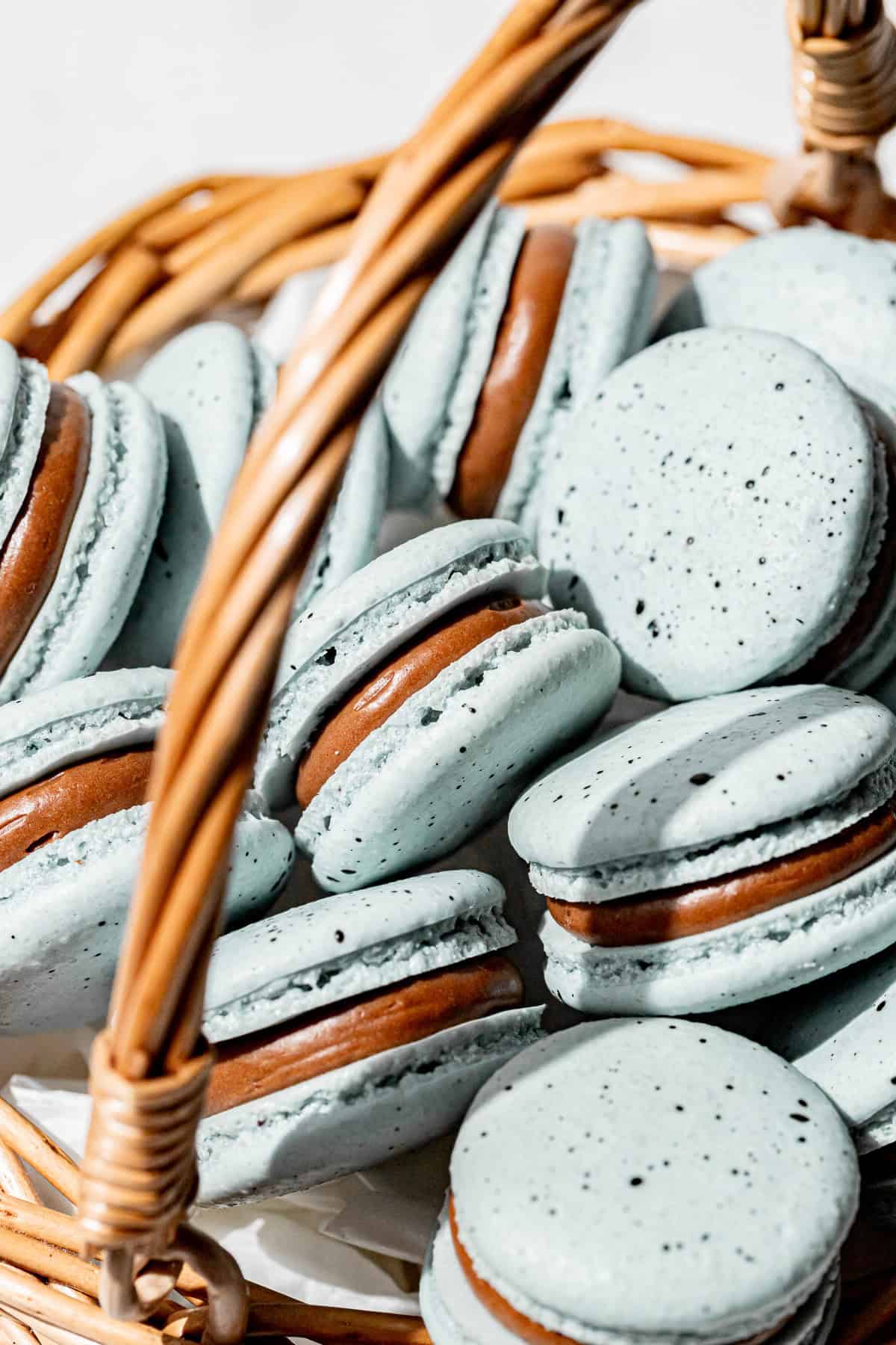 Robin's Egg Macarons
