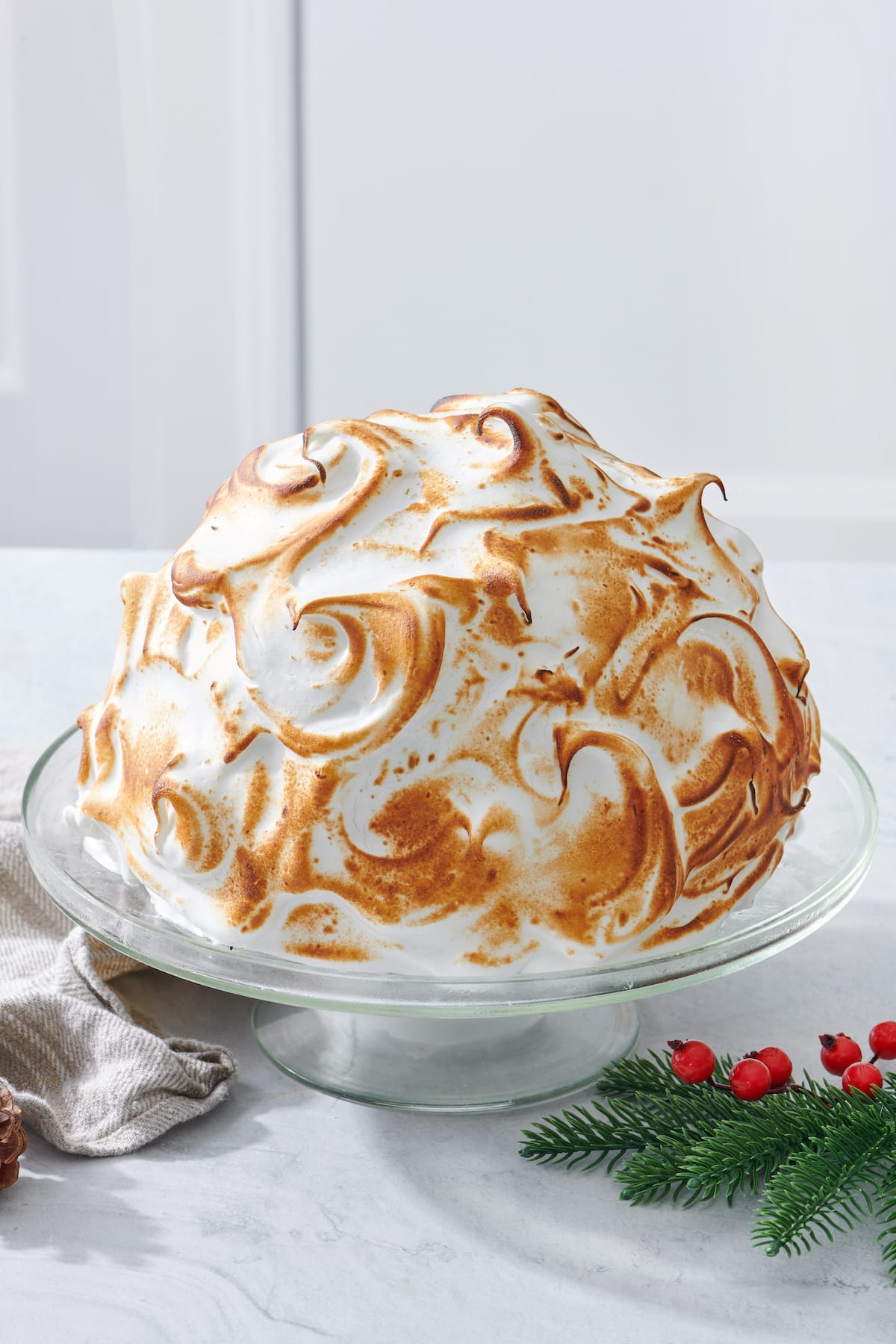 Holiday Baked Alaska