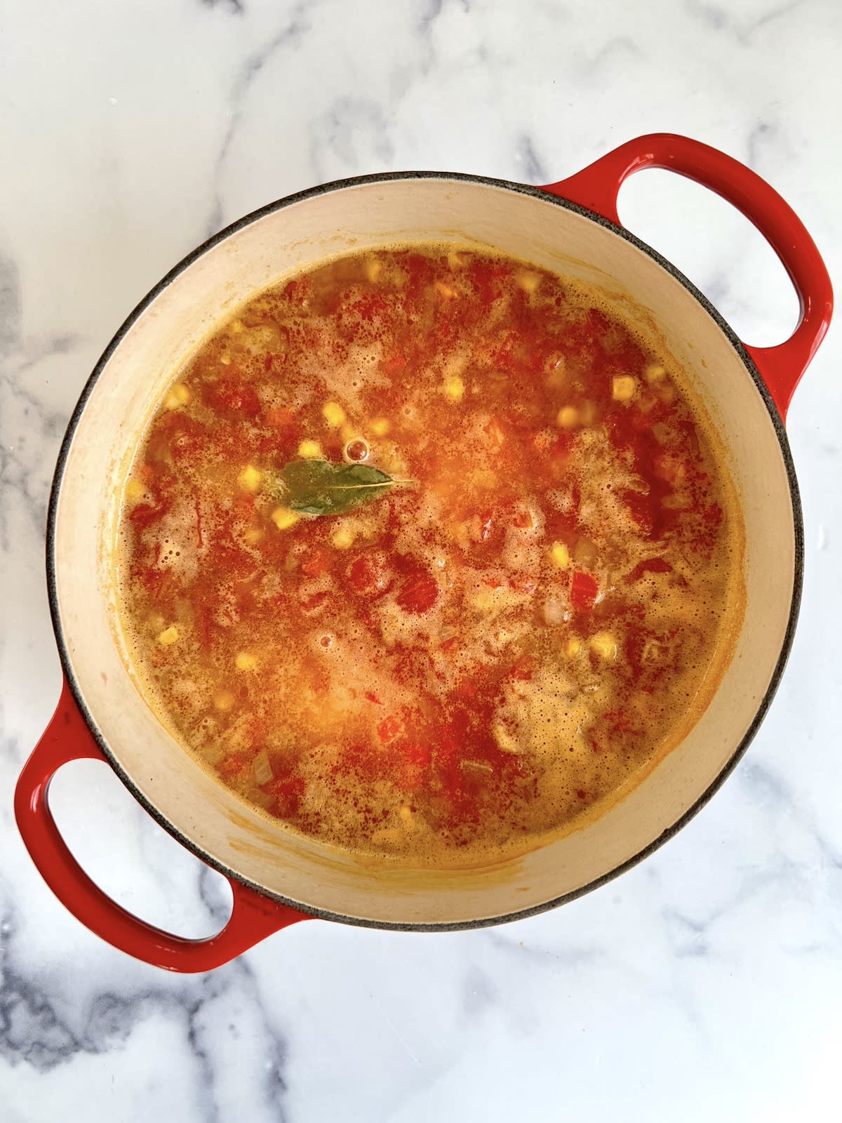Chicken Tortilla Soup