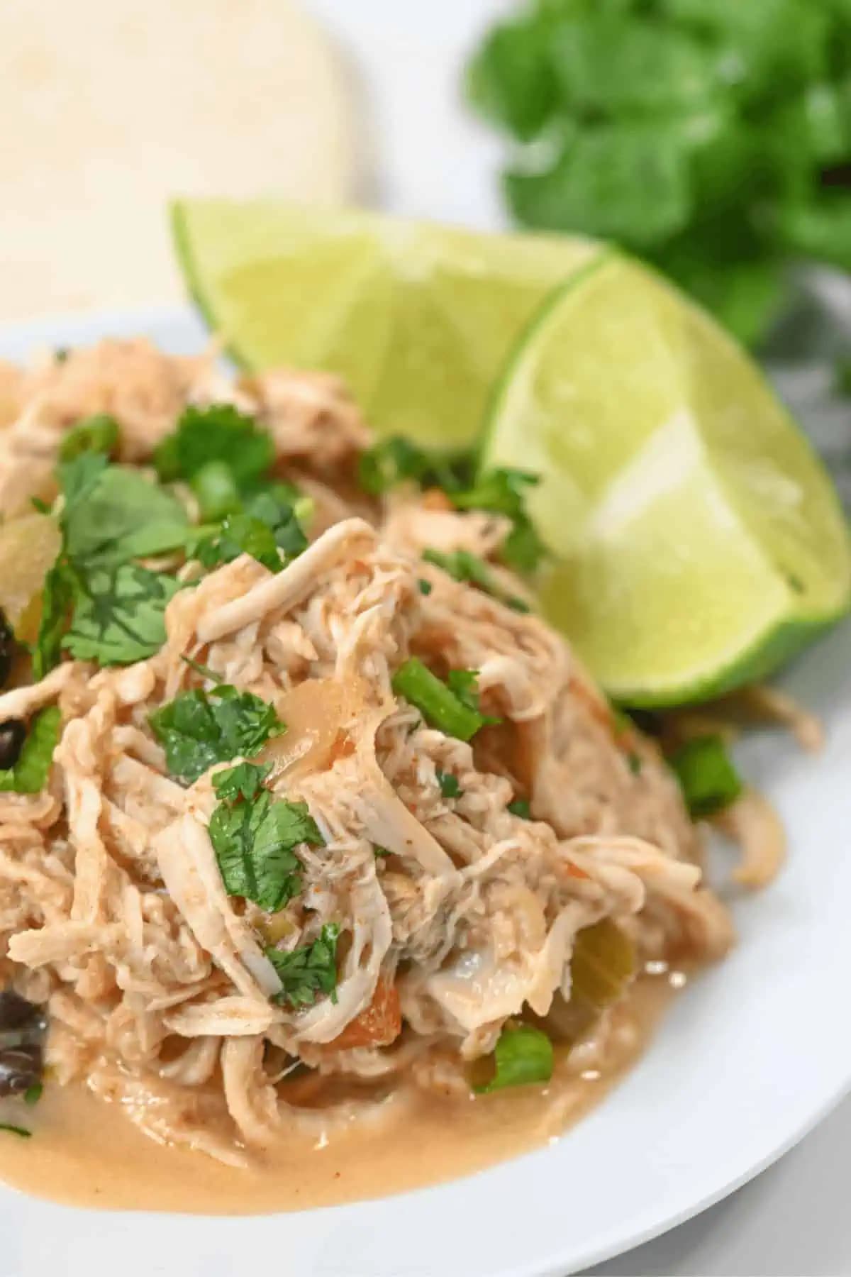 Slow Cooker Mexican Chicken