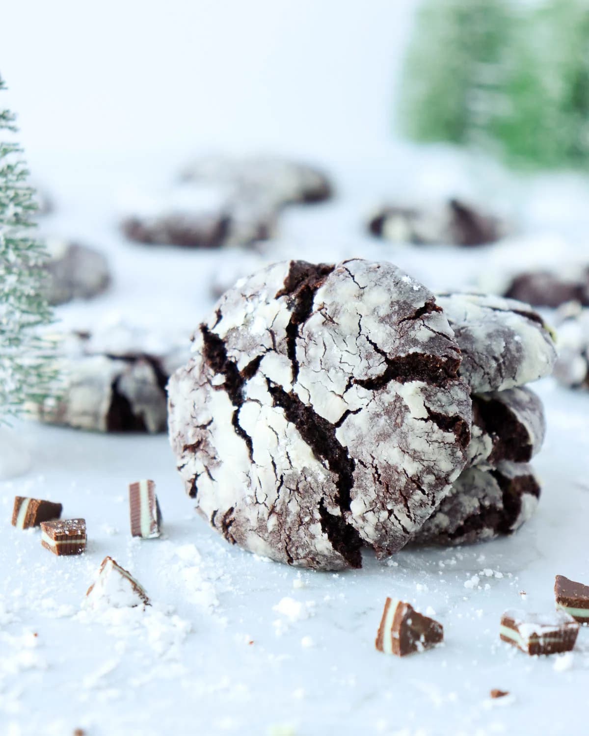 Andes Chocolate Peppermint Crinkle Cookies