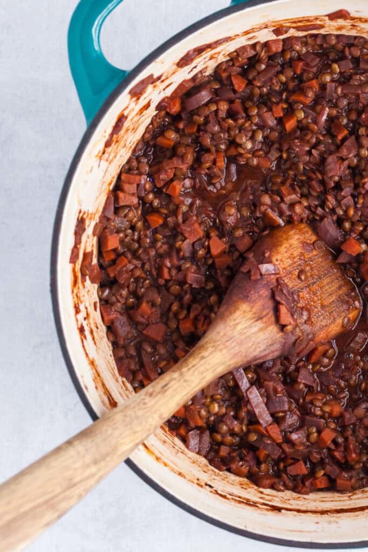 French Lentils Braised in Red Wine and Caramelized Onions