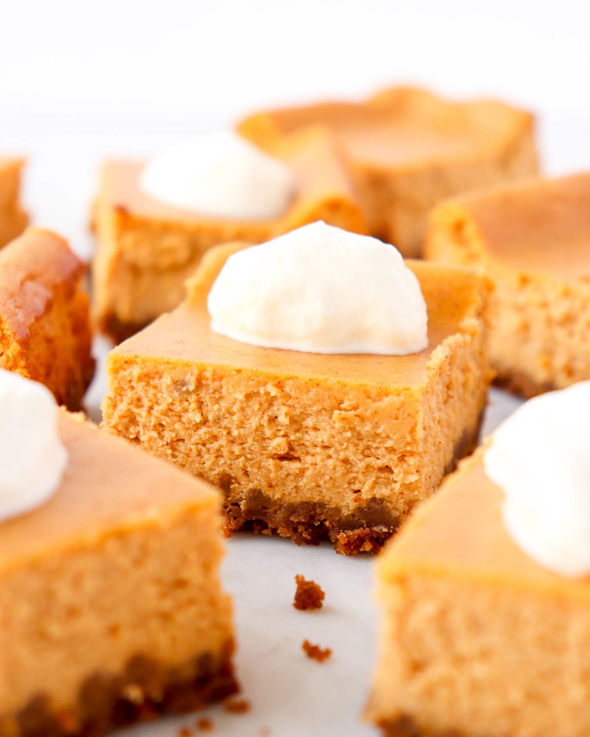 Pumpkin Cheesecake Bars with Gingersnap Crust