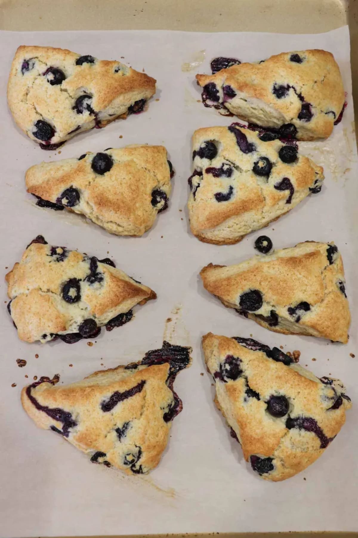 Blueberry Maple Scones