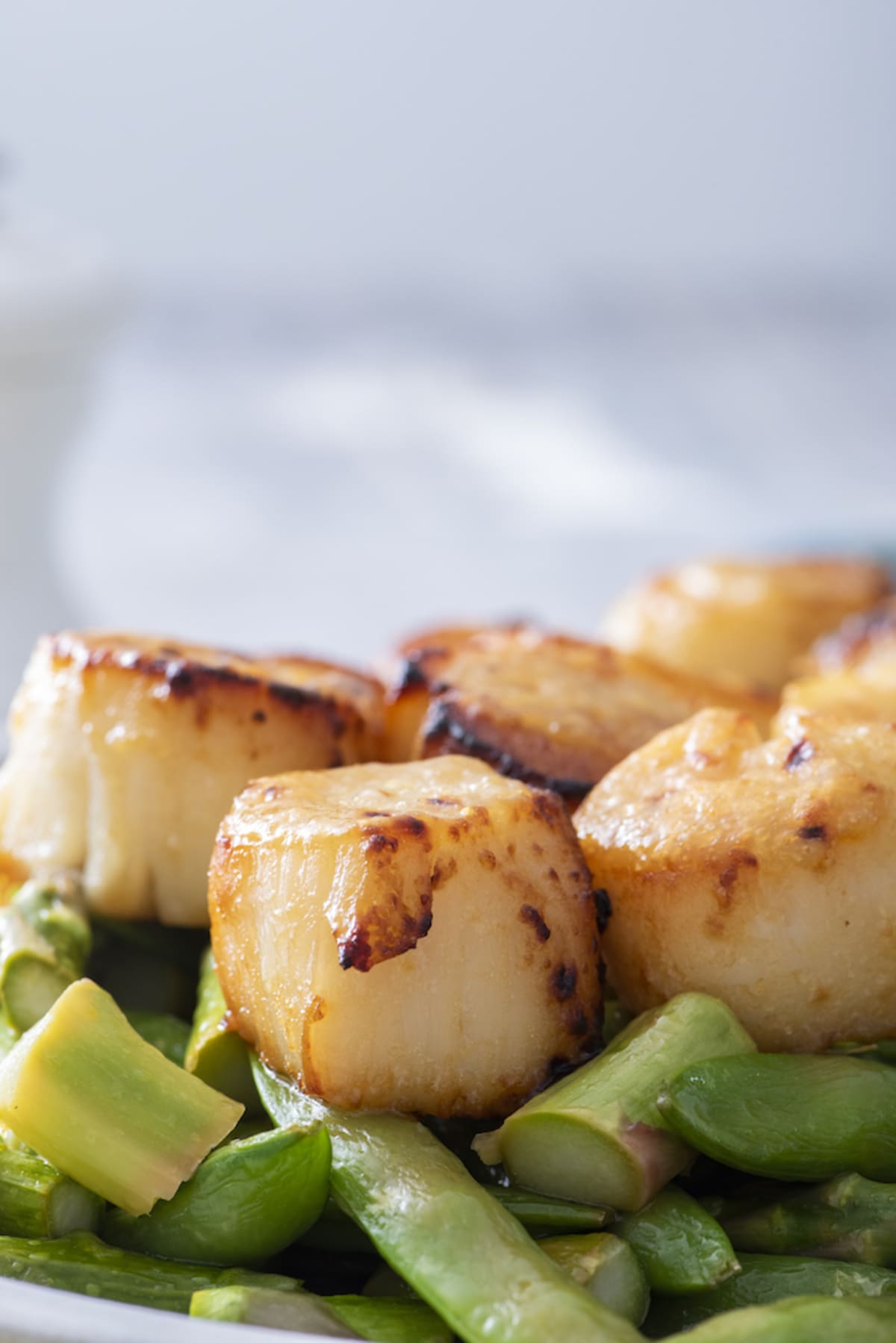 Miso Scallops