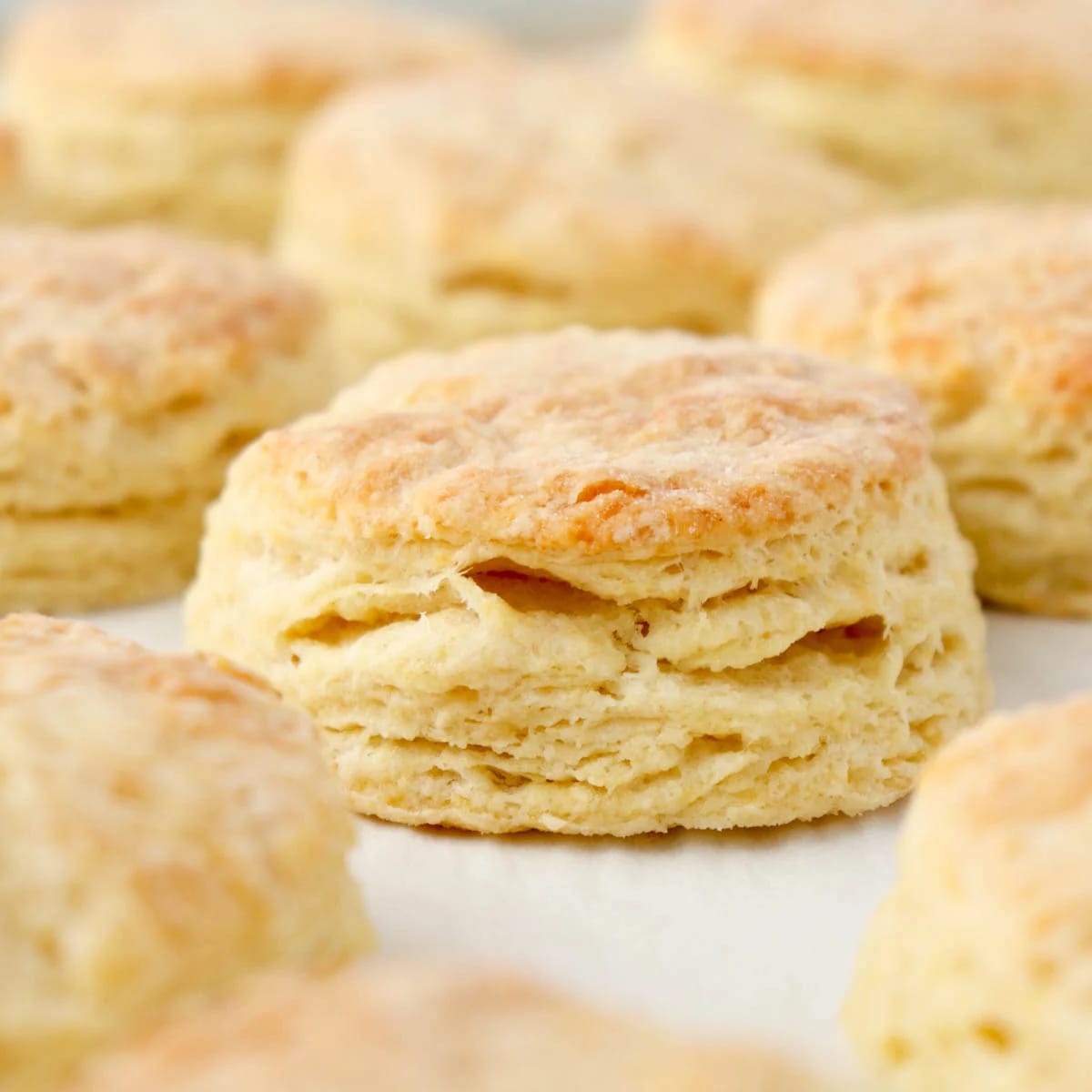 Flakey Buttermilk Biscuits