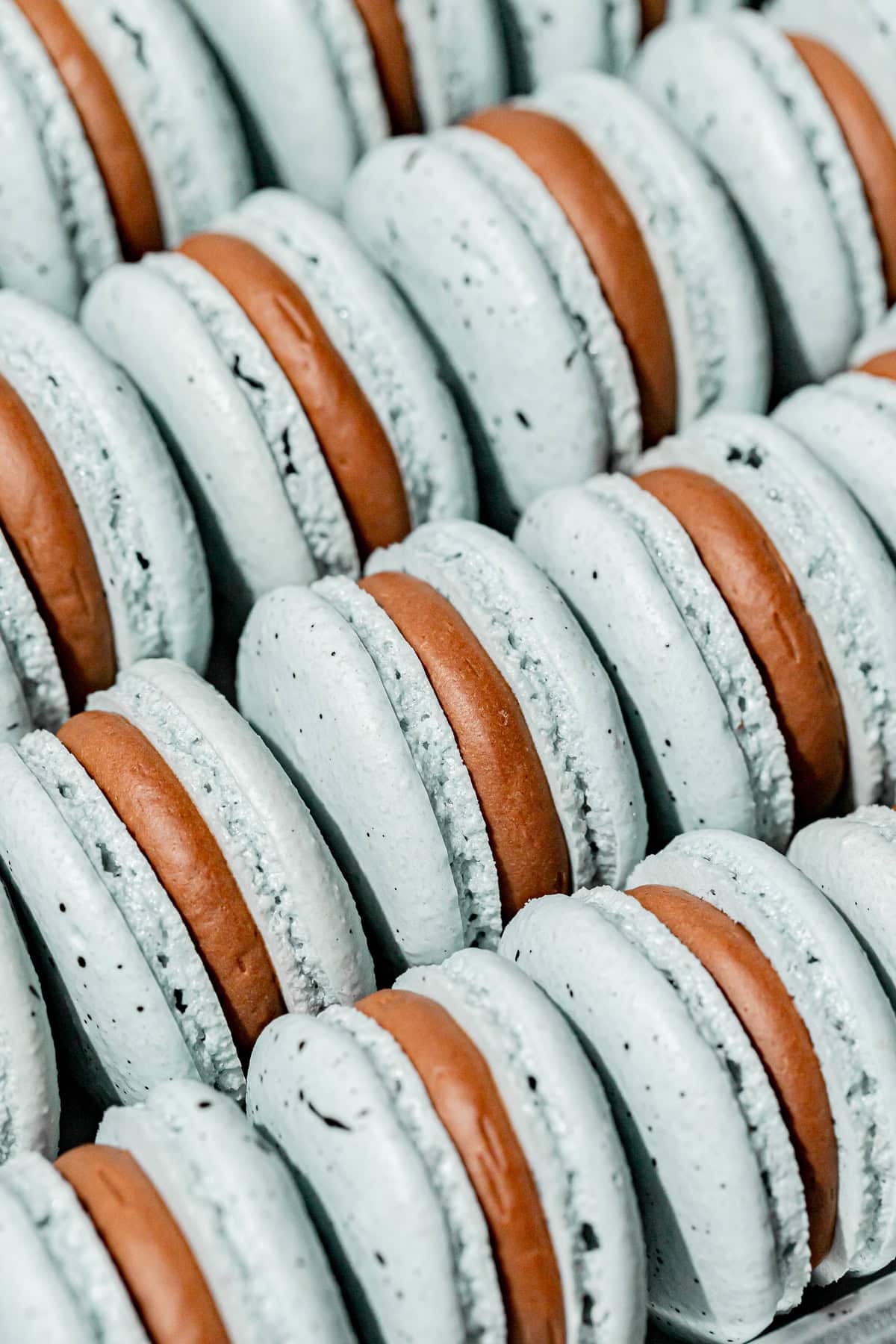 Robin's Egg Macarons