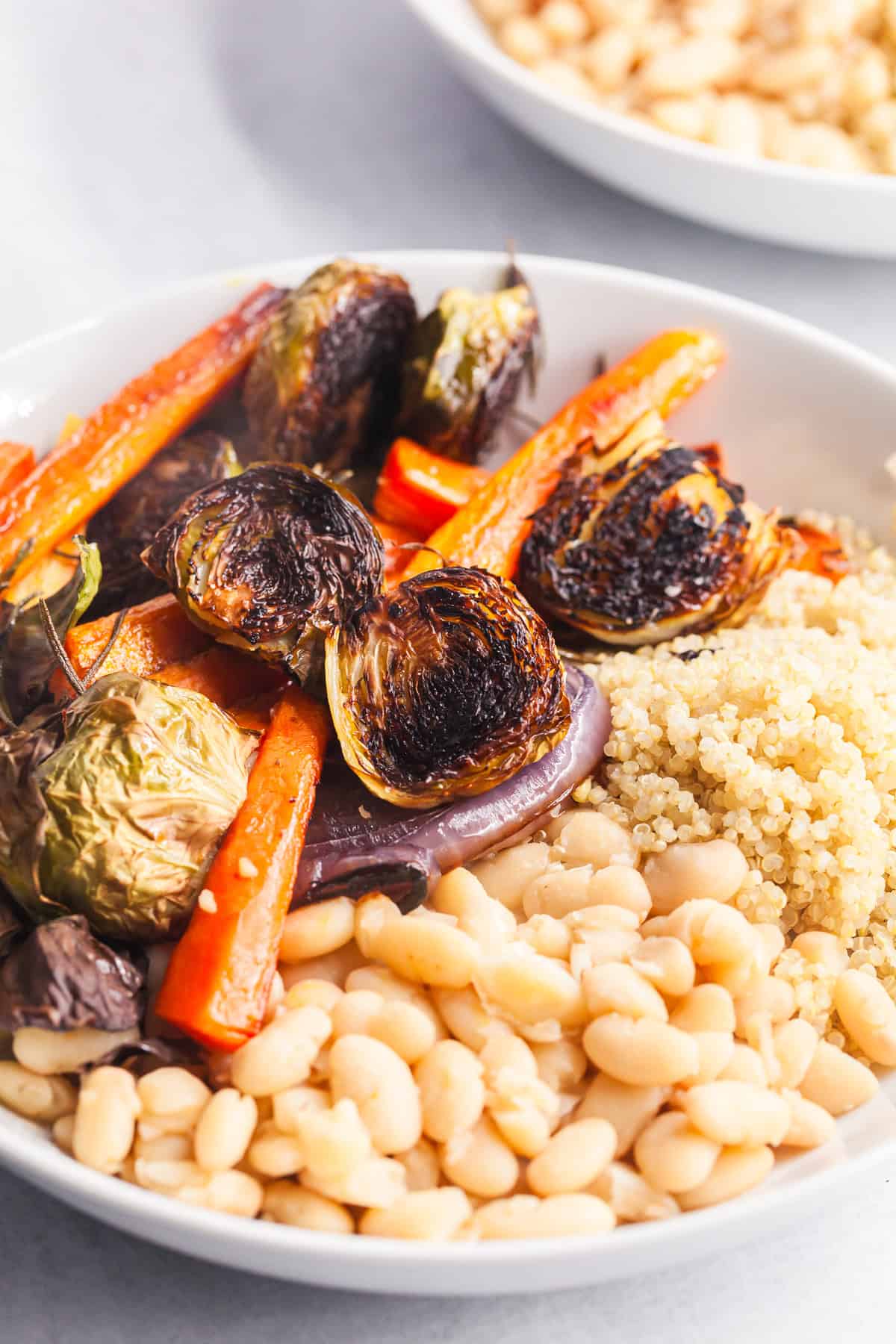 Roasted Brussels Sprouts and Carrots