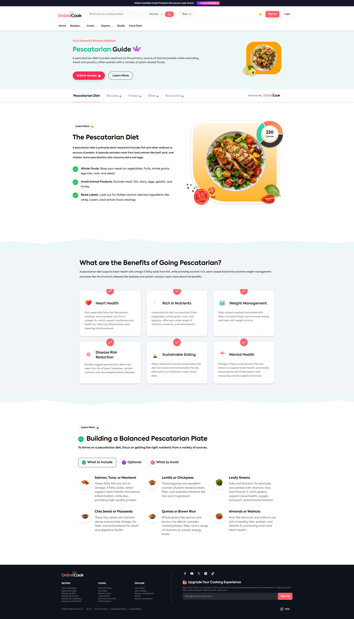 Irish Beef Stew + Cheddar Chive Biscuits