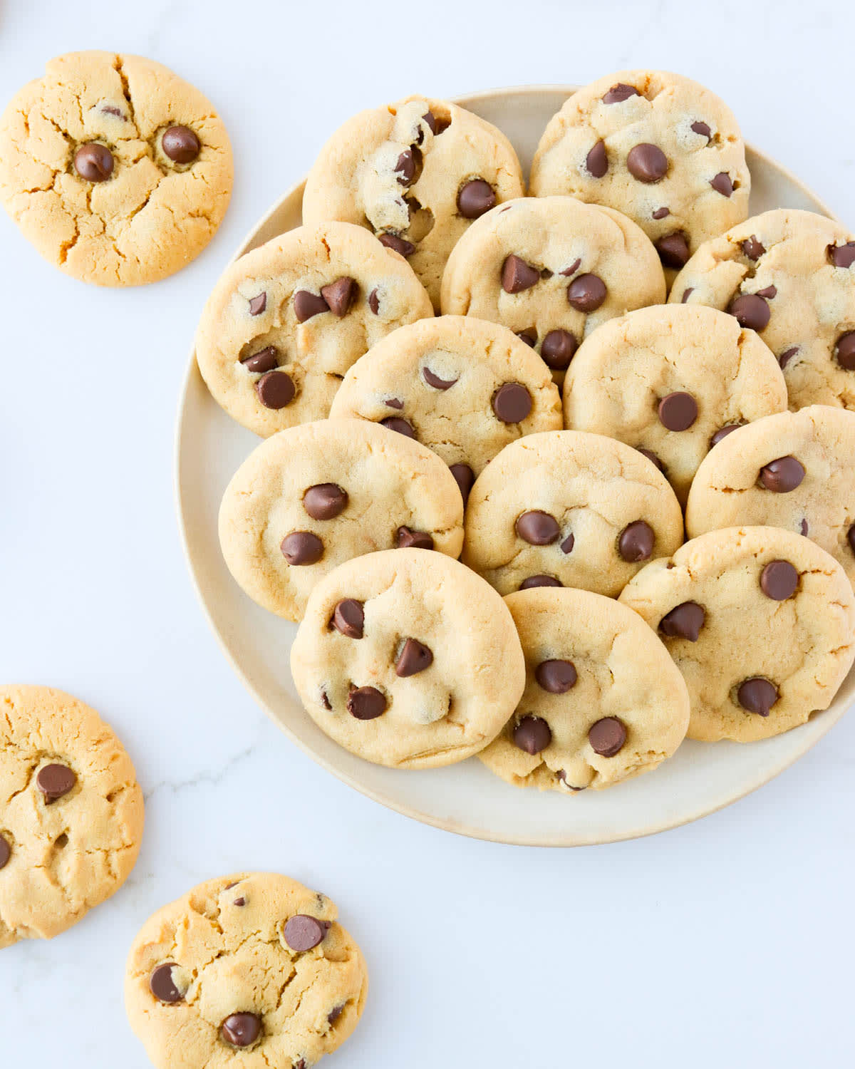 Chocolate Chip Peanut Butter Cookies