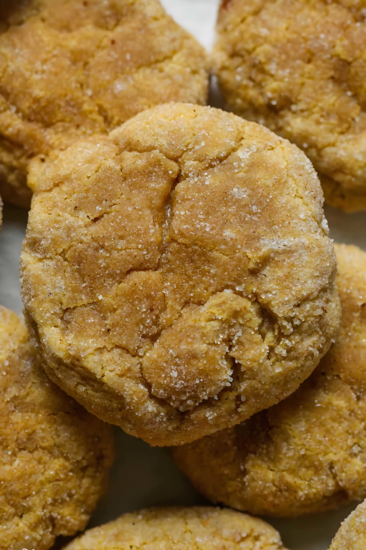 Pumpkin Snickerdoodles