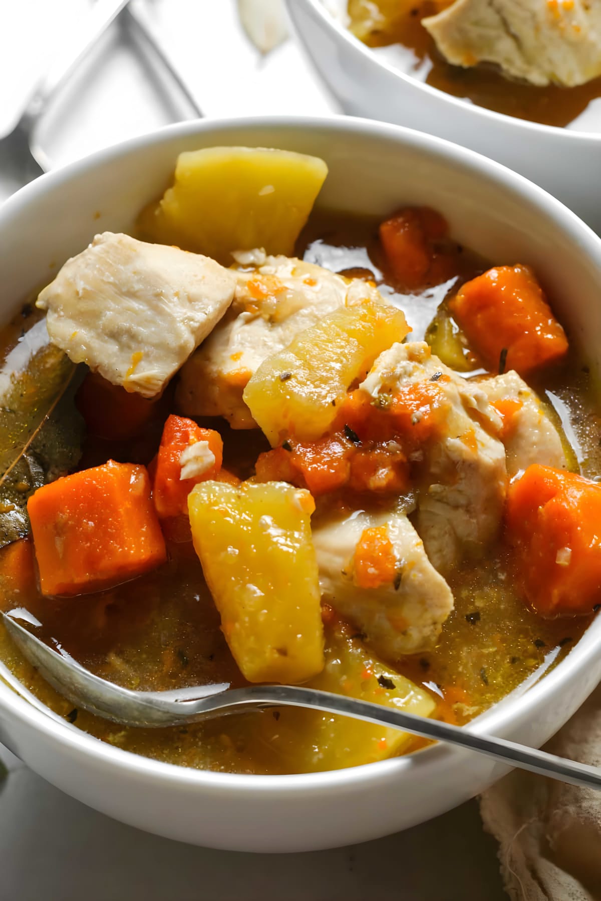 Instant Pot Chicken Stew