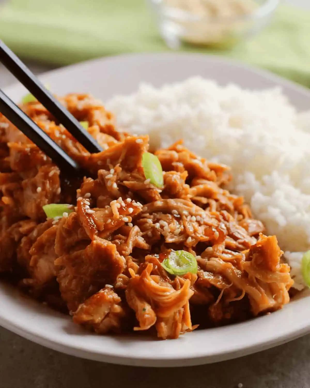 Crock Pot Teriyaki Chicken Thighs