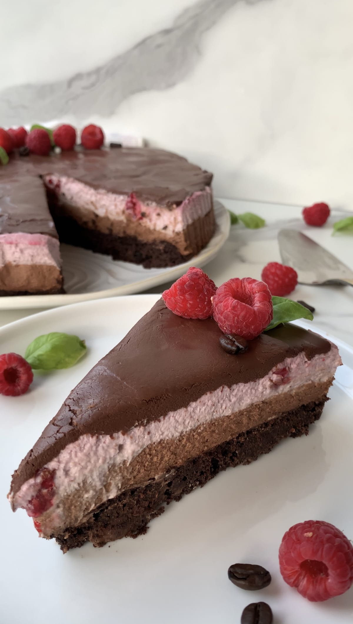 Raspberry Mocha Mousse Cake