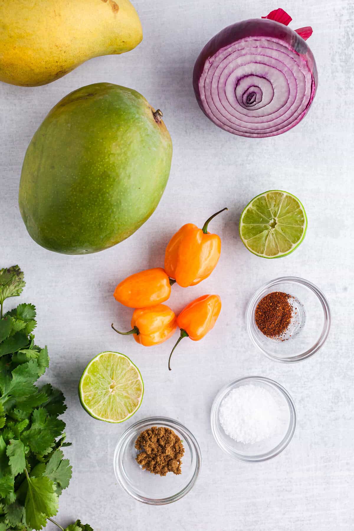 Mango Habanero Salsa