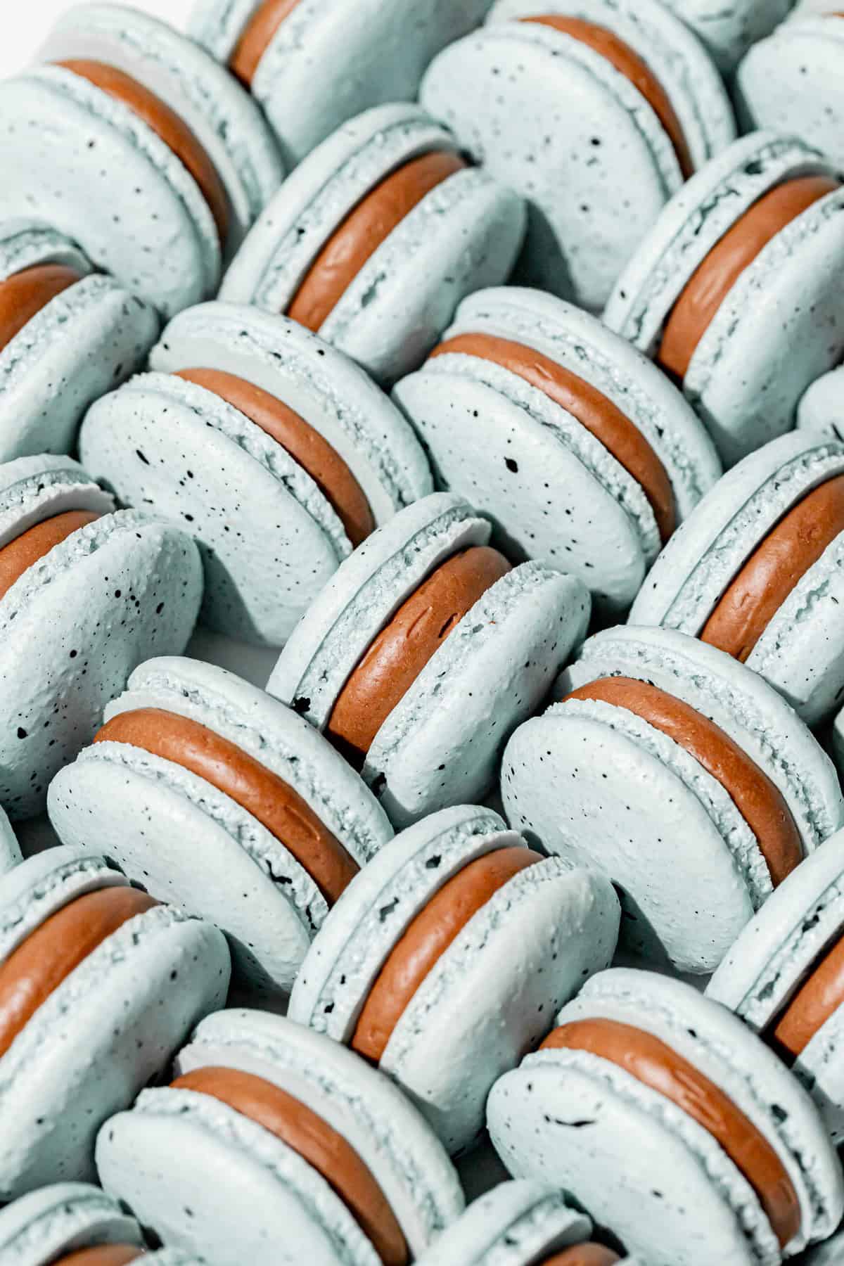 Robin's Egg Macarons