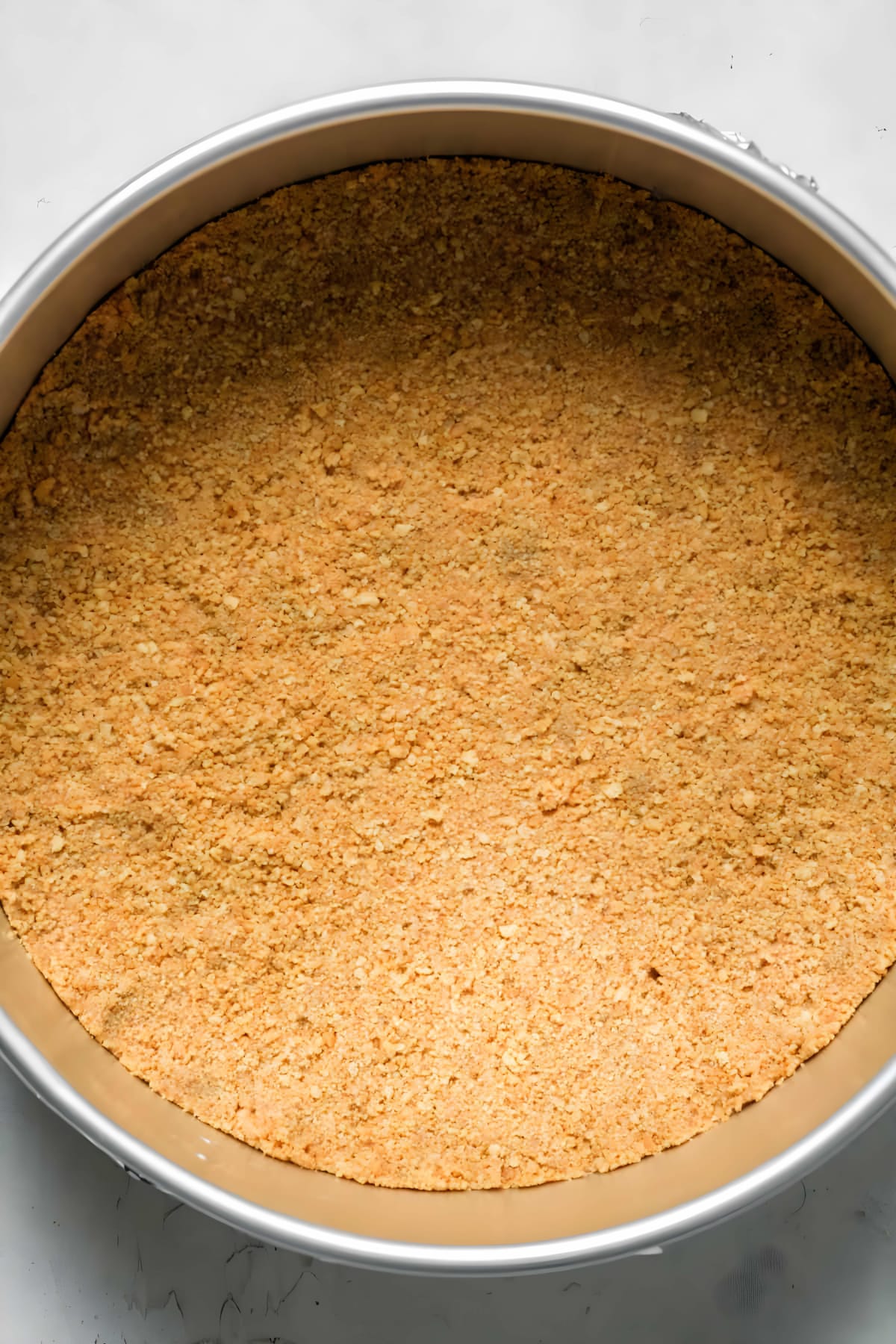 Chocolate Chip Cheesecake