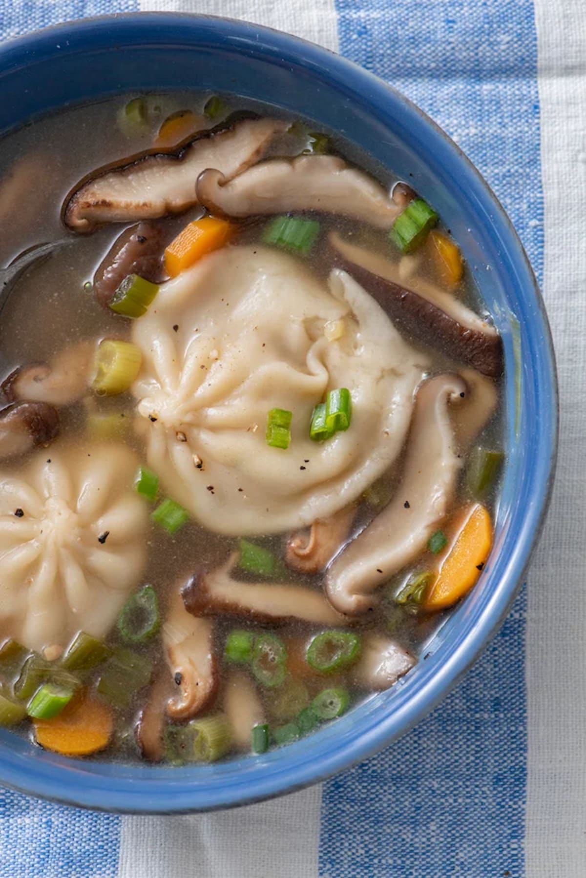 Dumpling Soup