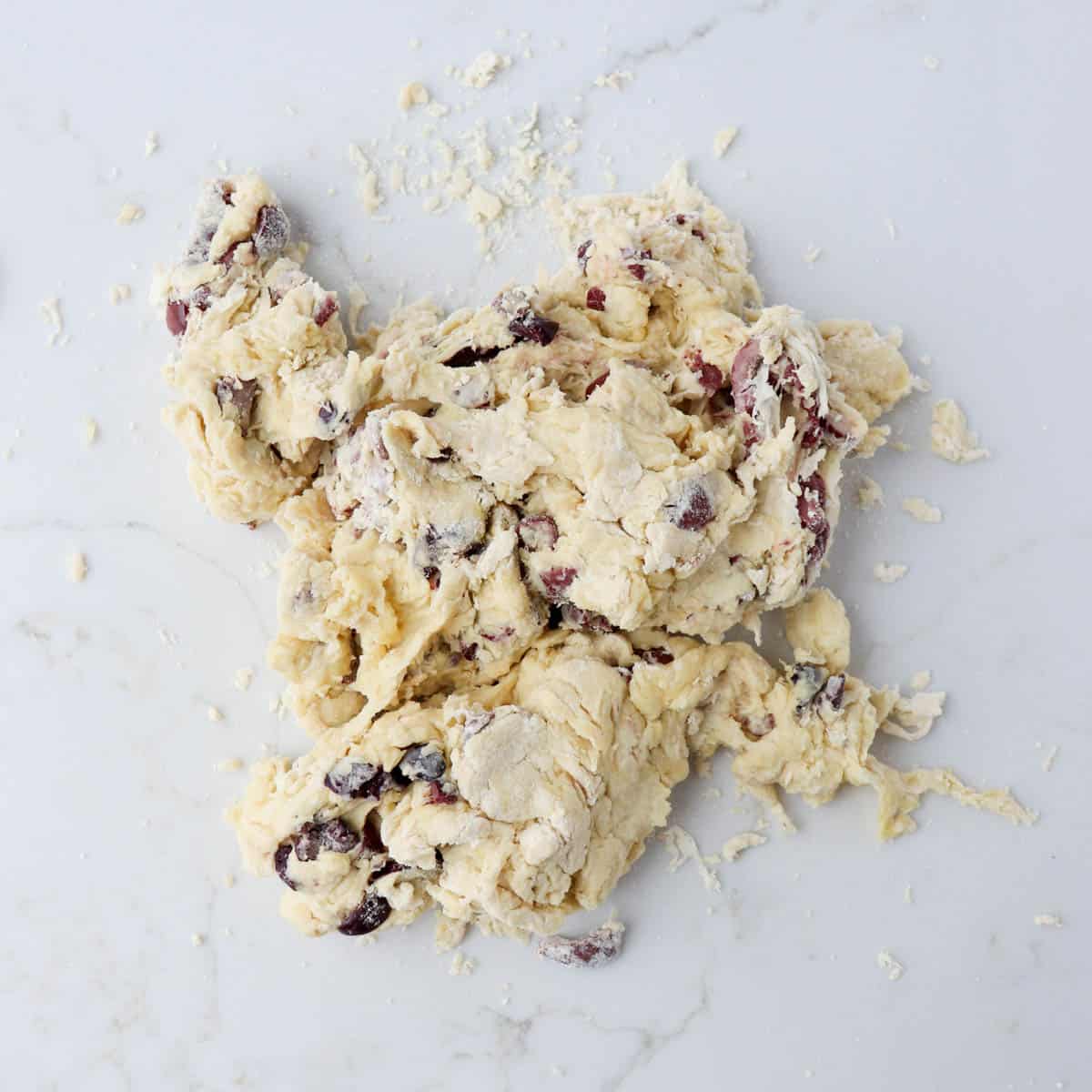 Shallot Black Olive Focaccia Bread