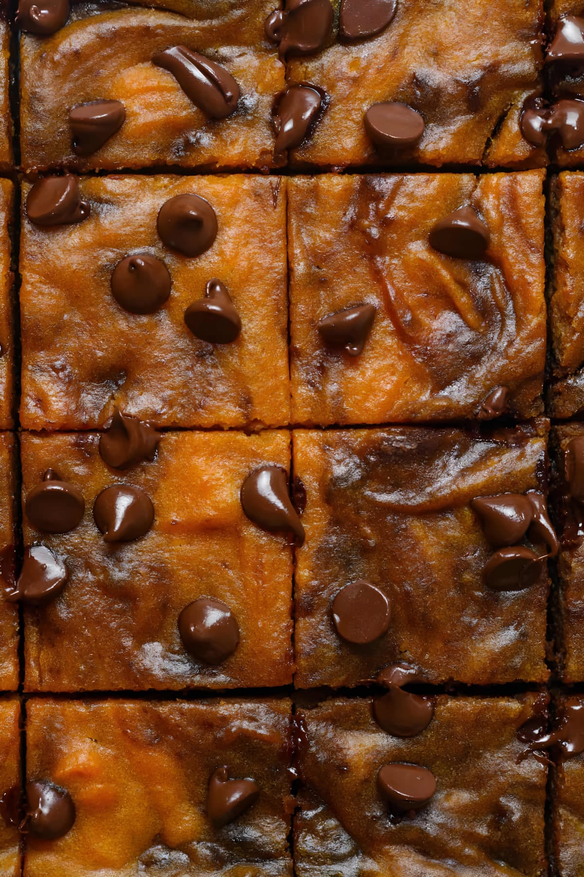 Pumpkin Brownies