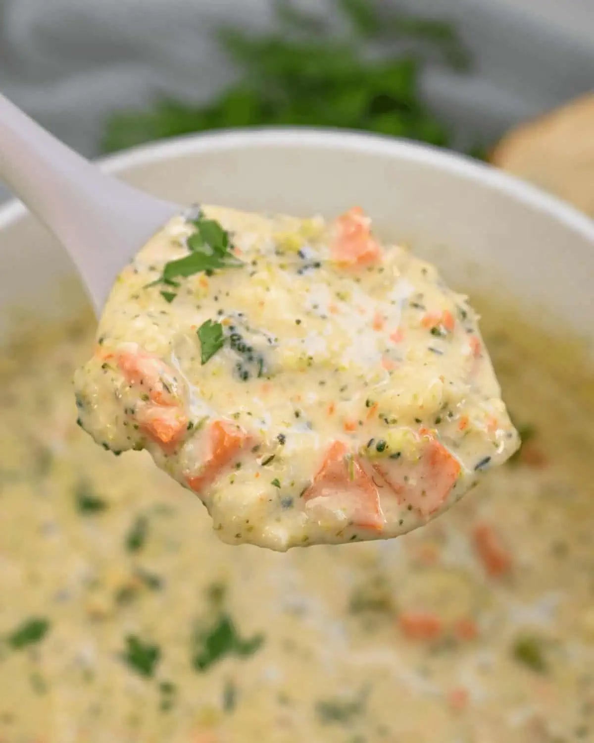 Broccoli Cauliflower Soup