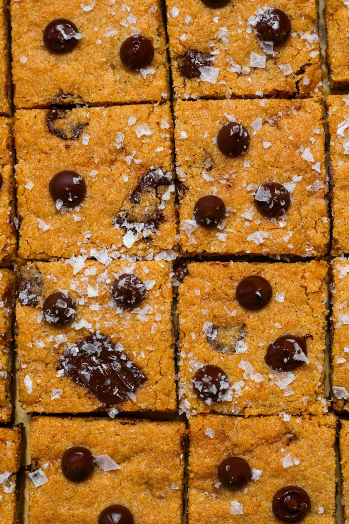 Brown Butter Chocolate Chip Cookie Bars