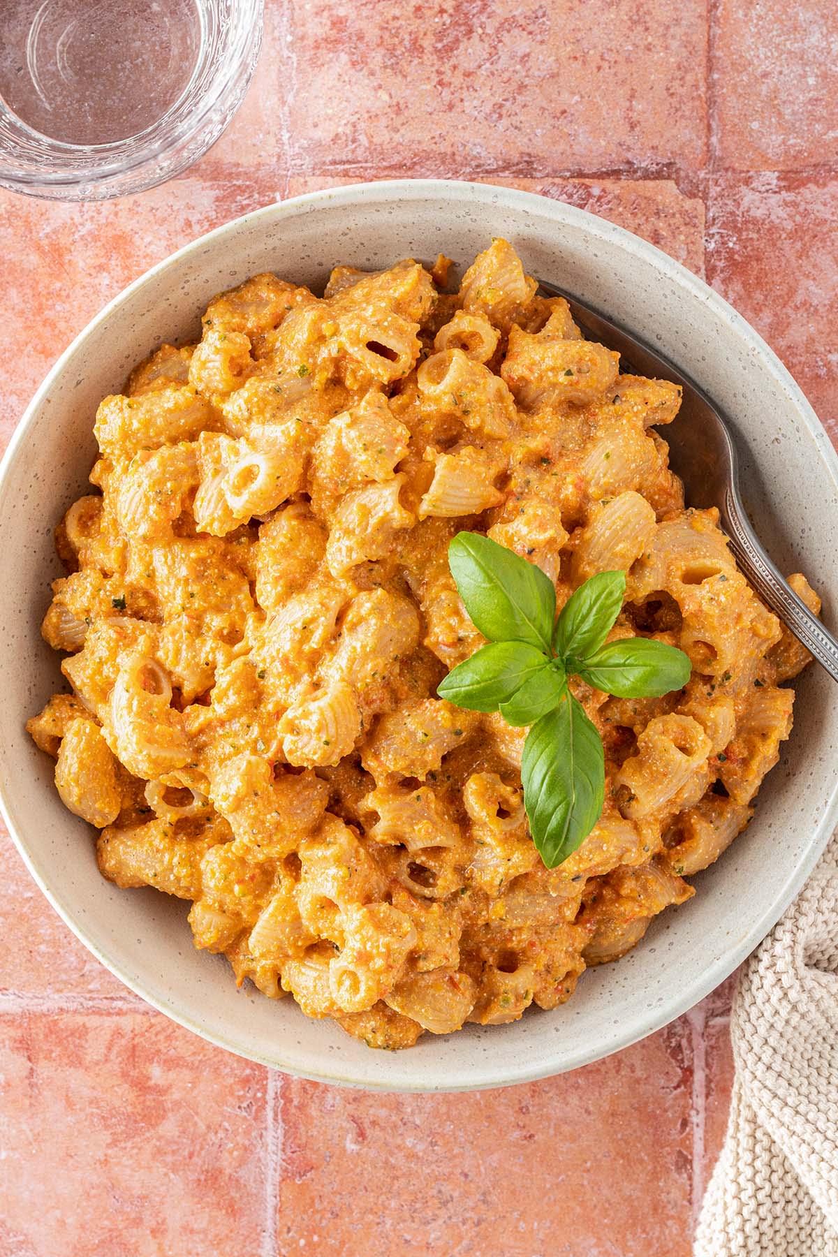 Vegetable Pasta Sauce