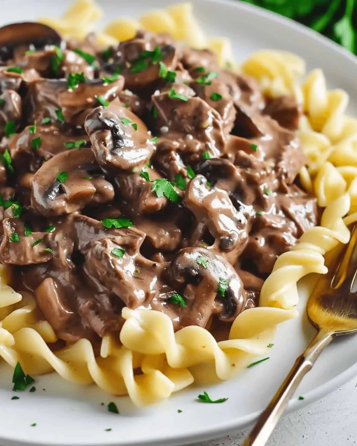 Venison Stroganoff