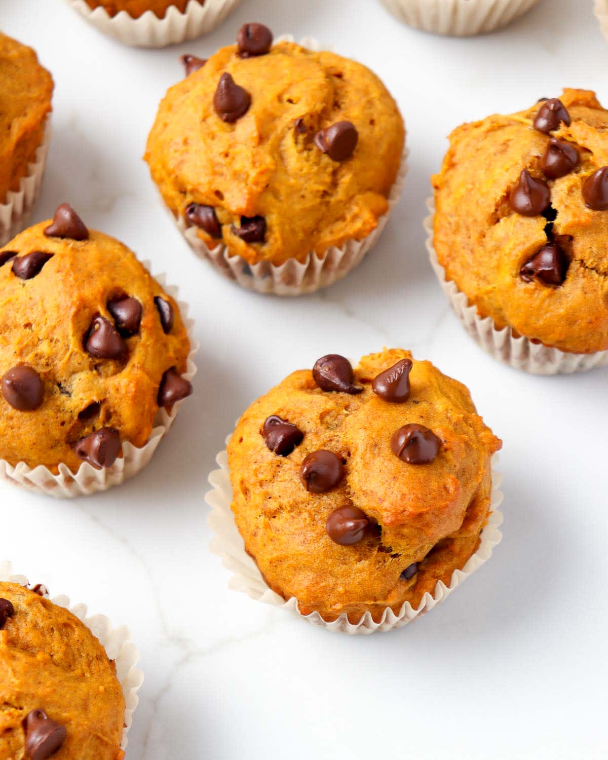 Easy Chocolate Chip Pumpkin Muffins