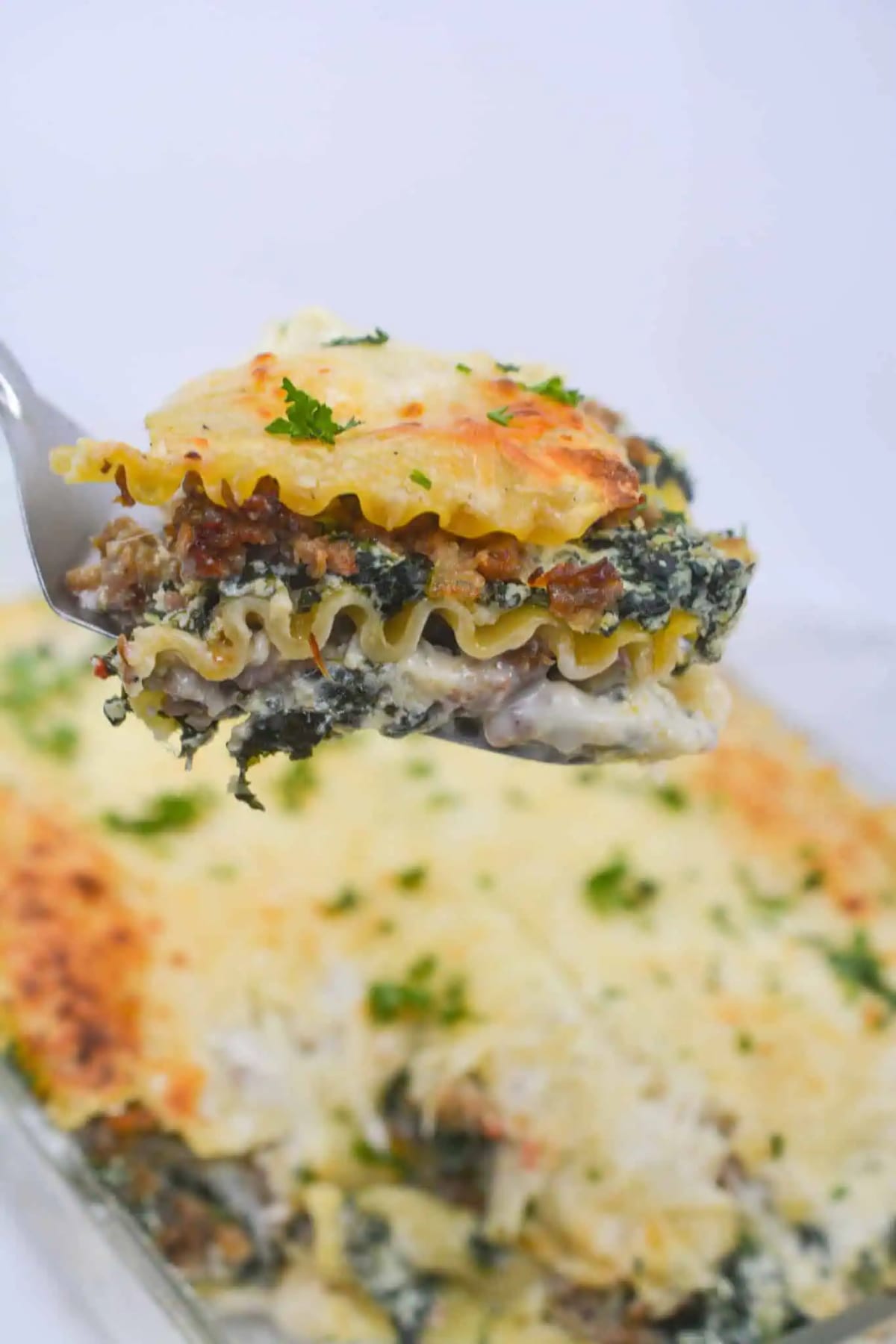 Sausage Vegetable White Sauce Lasagna