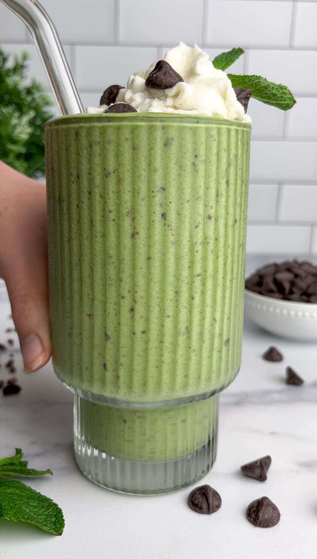 Mint Chocolate Chip Smoothie