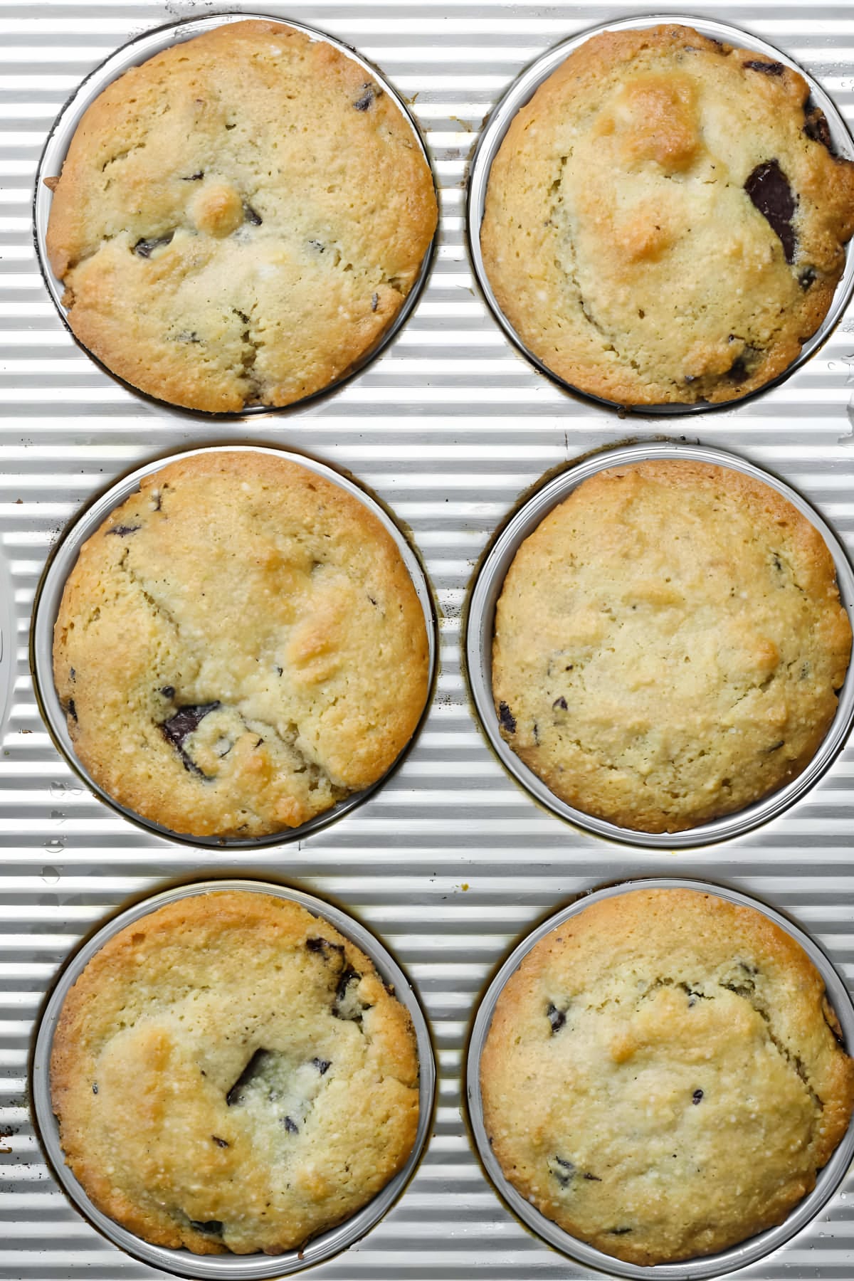 Almond Flour Muffins