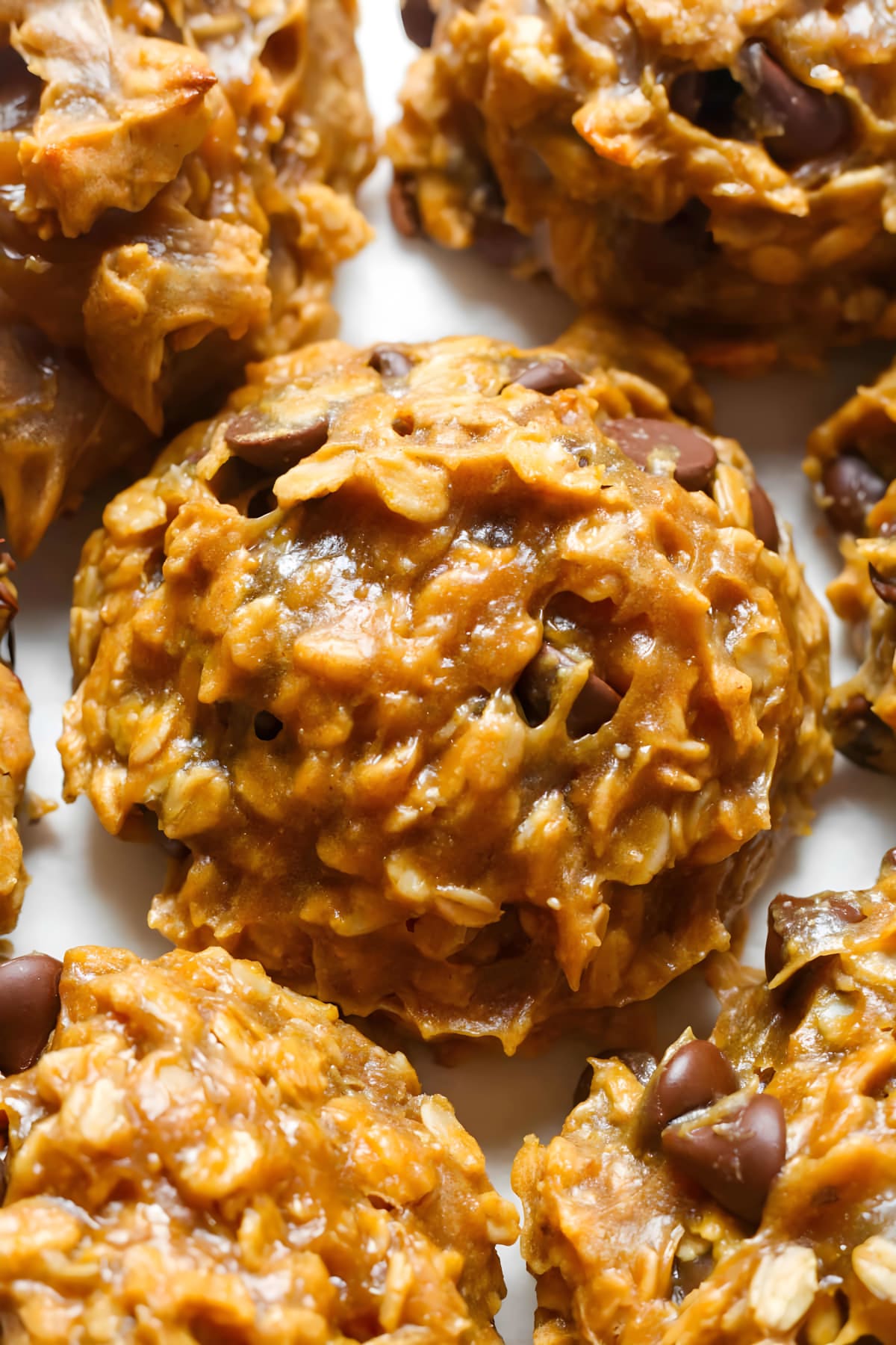 Flourless Oatmeal Cookies